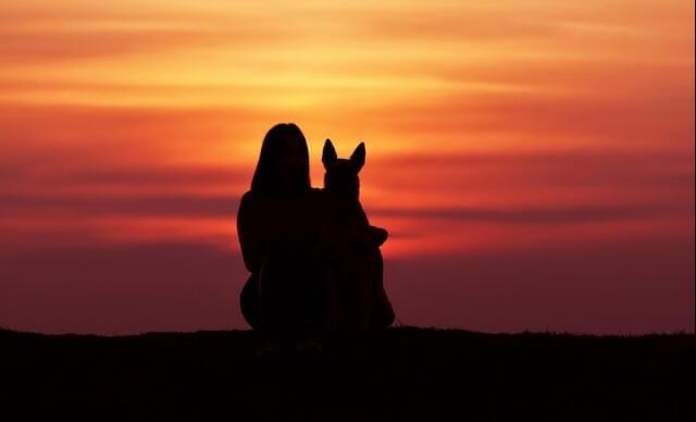 Pawsitive Connection Dog Training Kingman