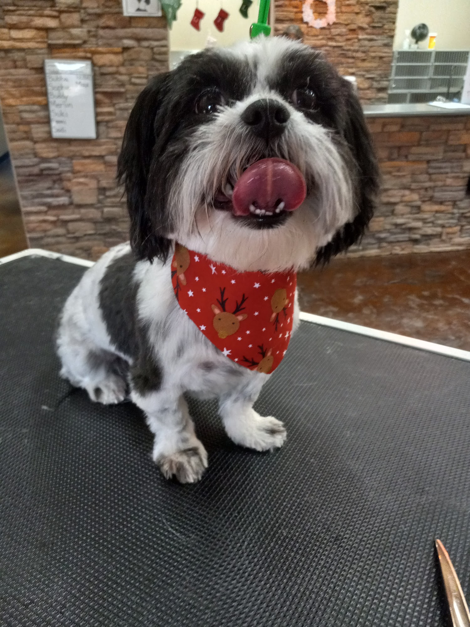 Grooming By Heather Kingman