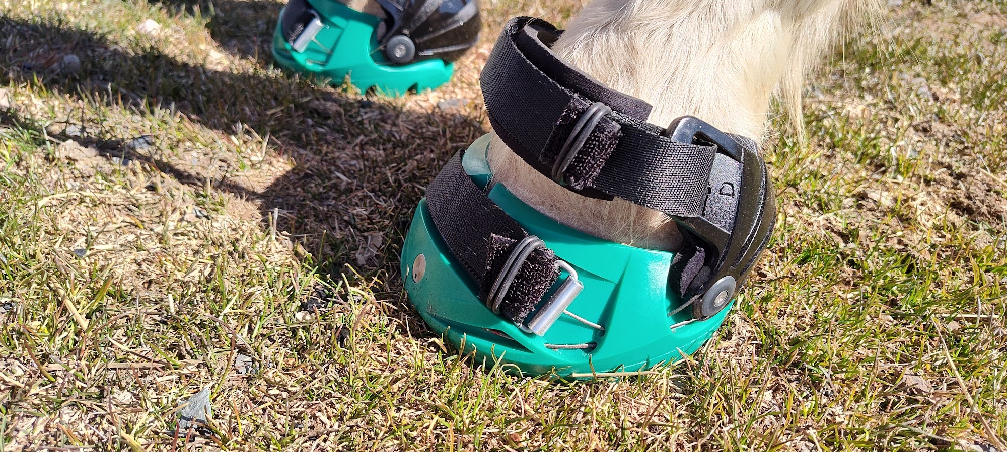 Renegade Hoof Boots Kingman