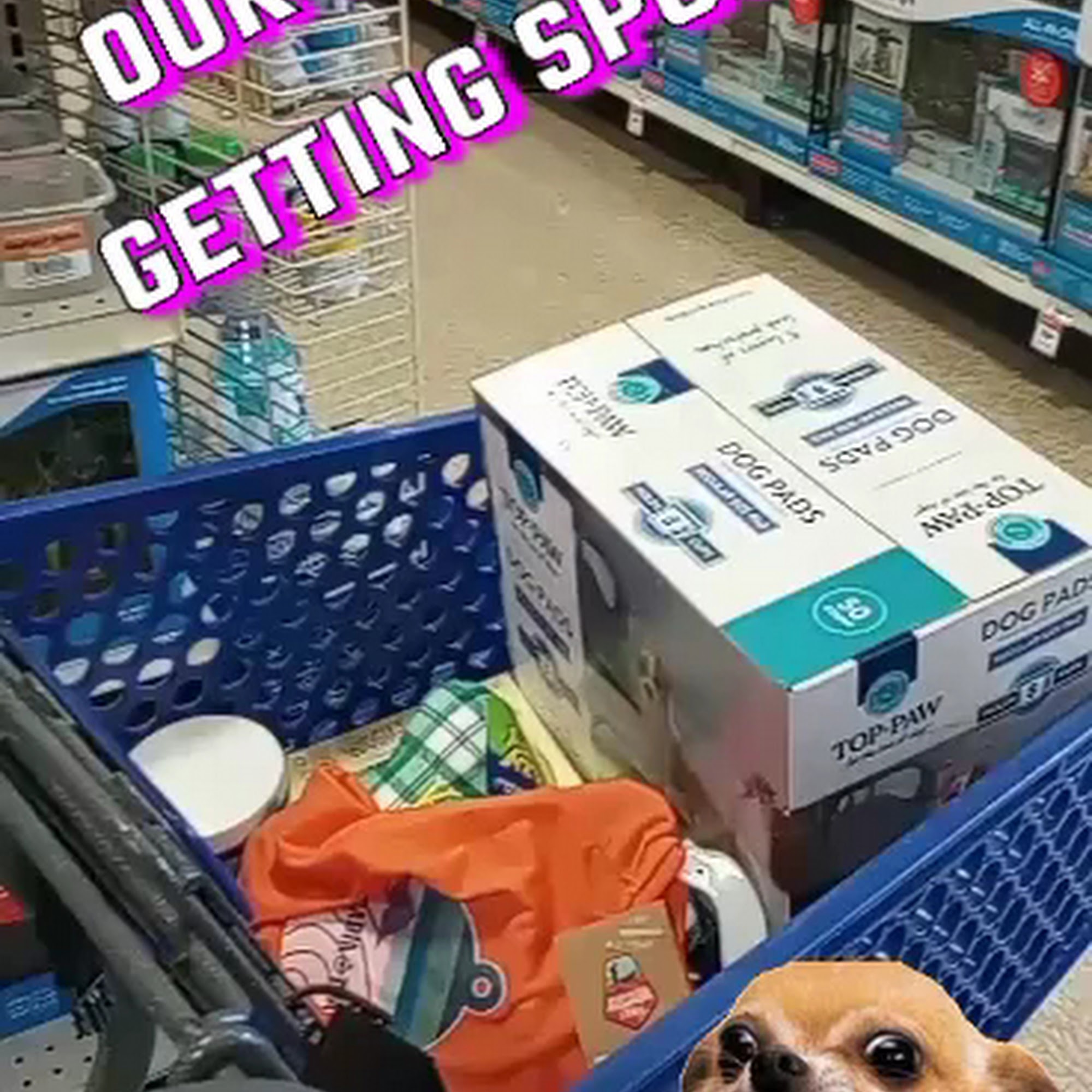 PetSmart Lake Havasu City