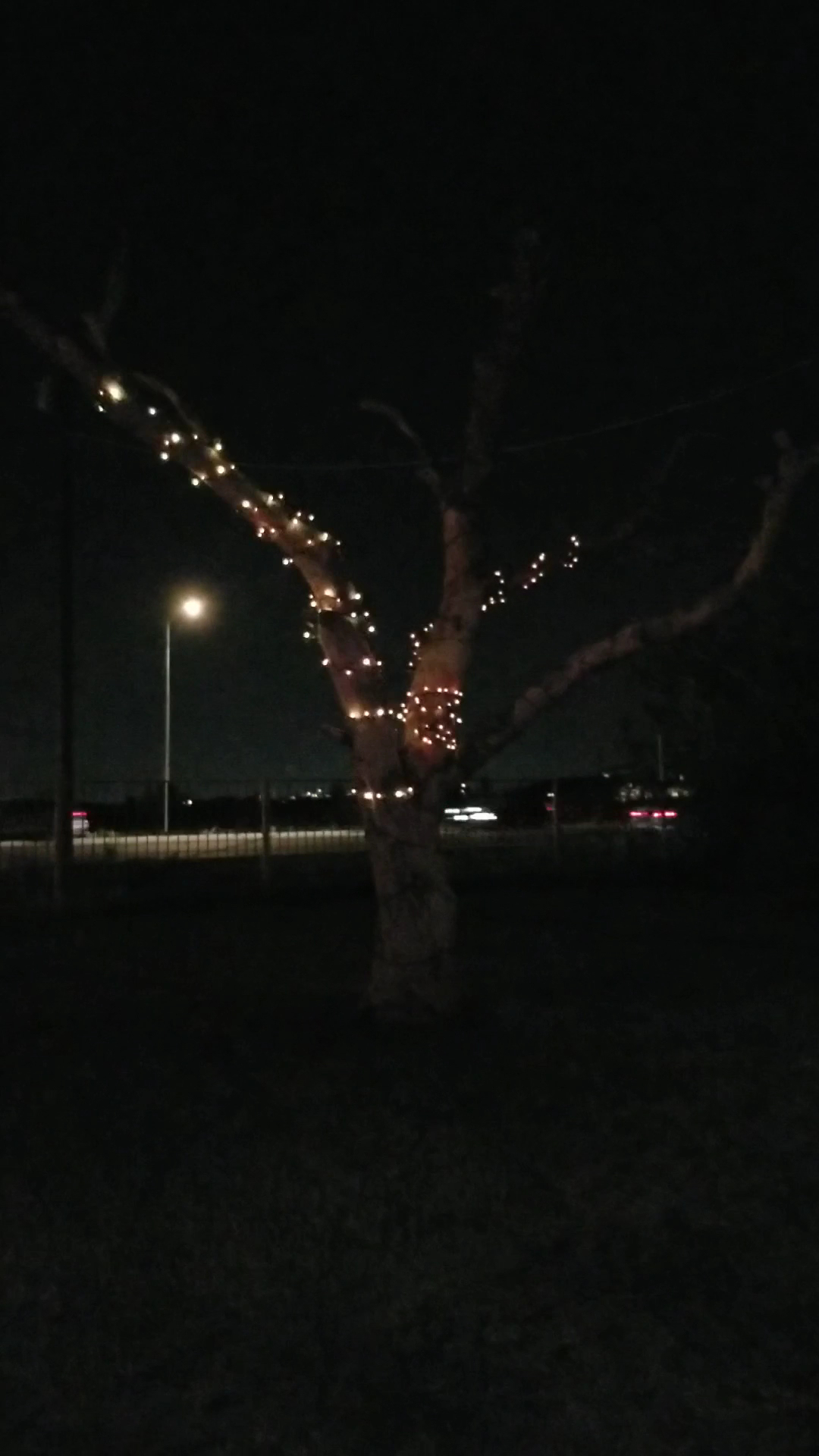 Rancho La Candelaria Mexican Food And Oaxacan Food Laveen Village