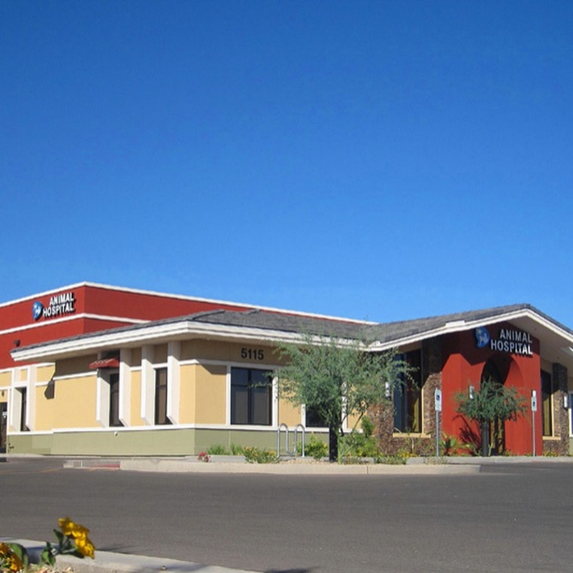 Dreaming Summit Animal Hospital Litchfield Park