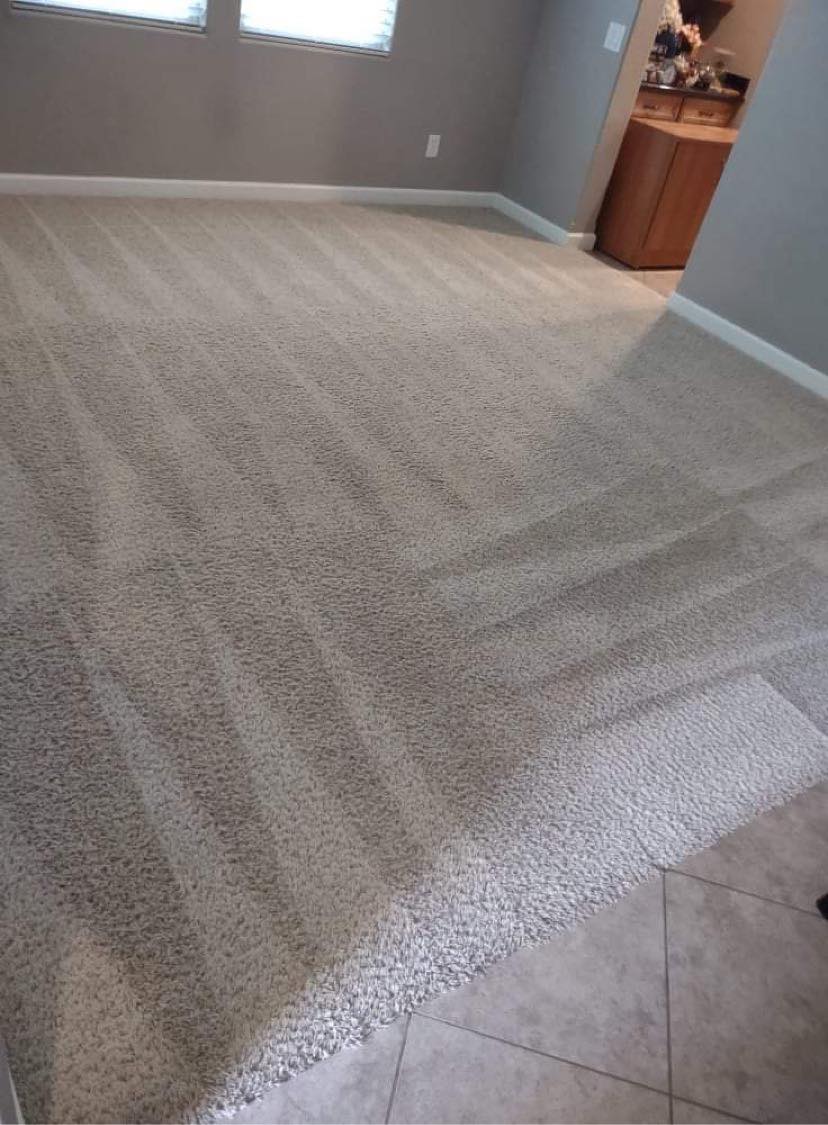 Desert Steemers Carpet Cleaners
