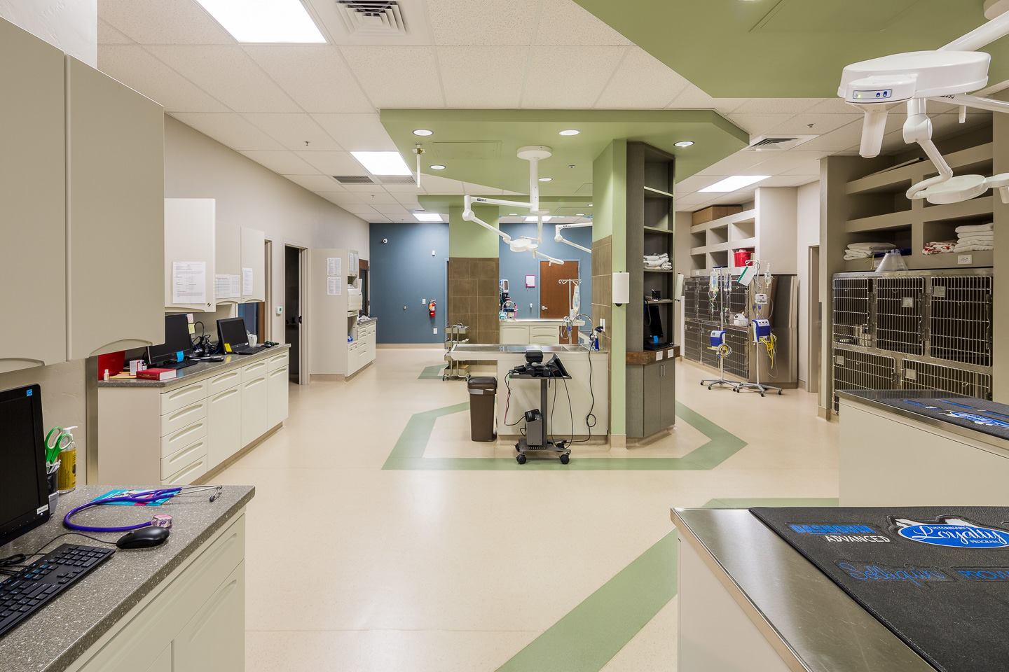 Dove Mountain Veterinary Marana