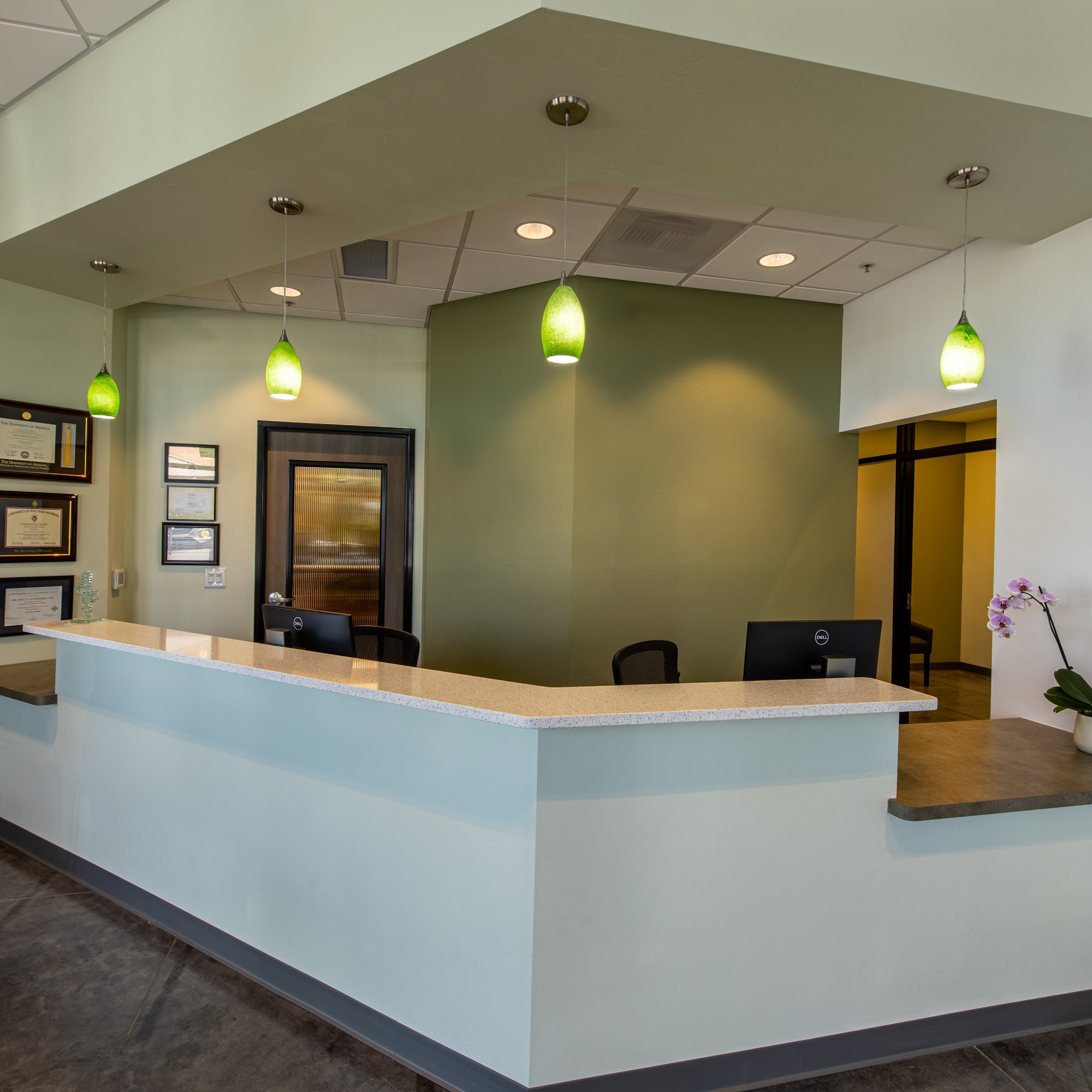 Tangerine Pet Clinic Marana