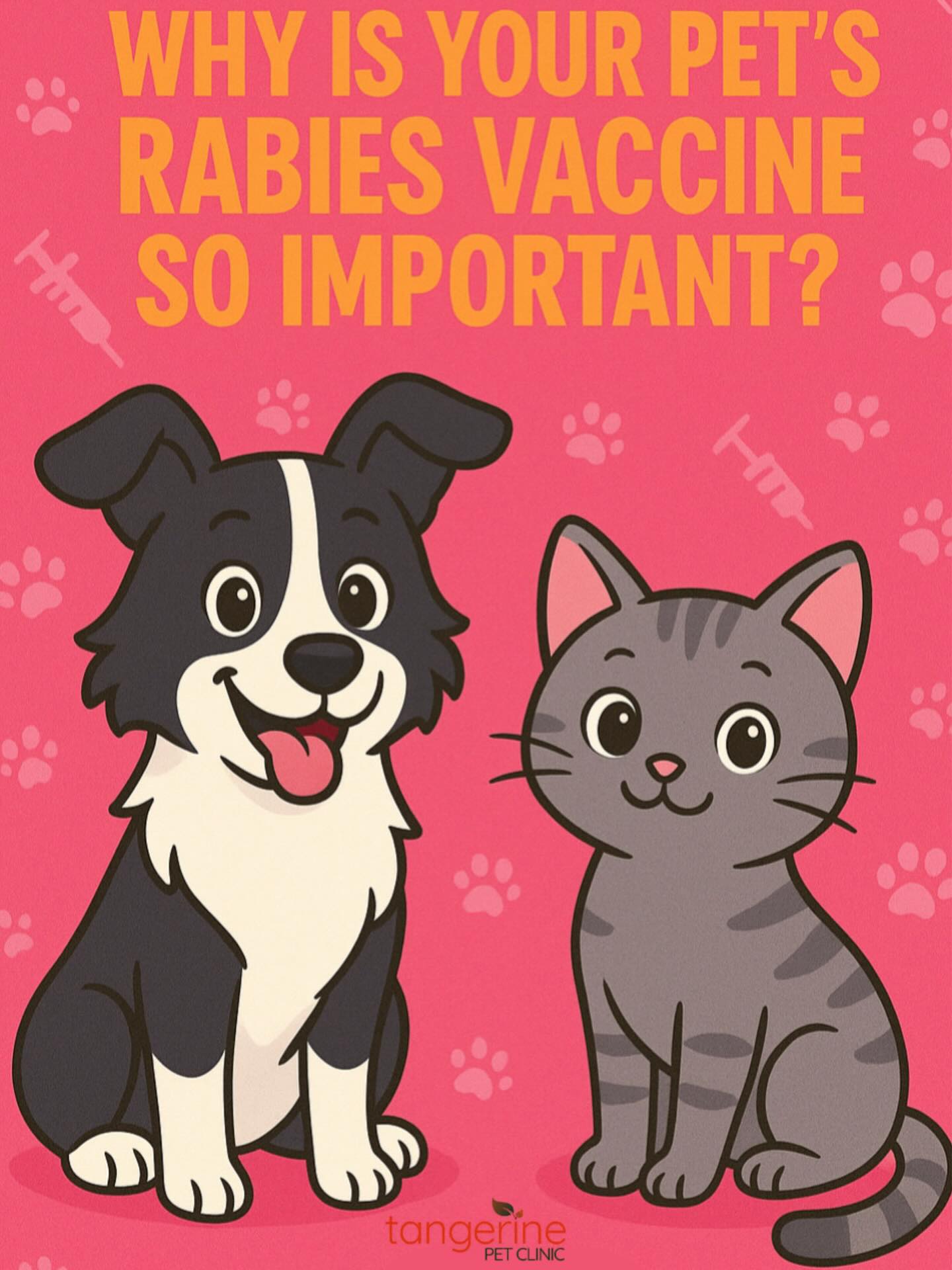 Tangerine Pet Clinic Marana