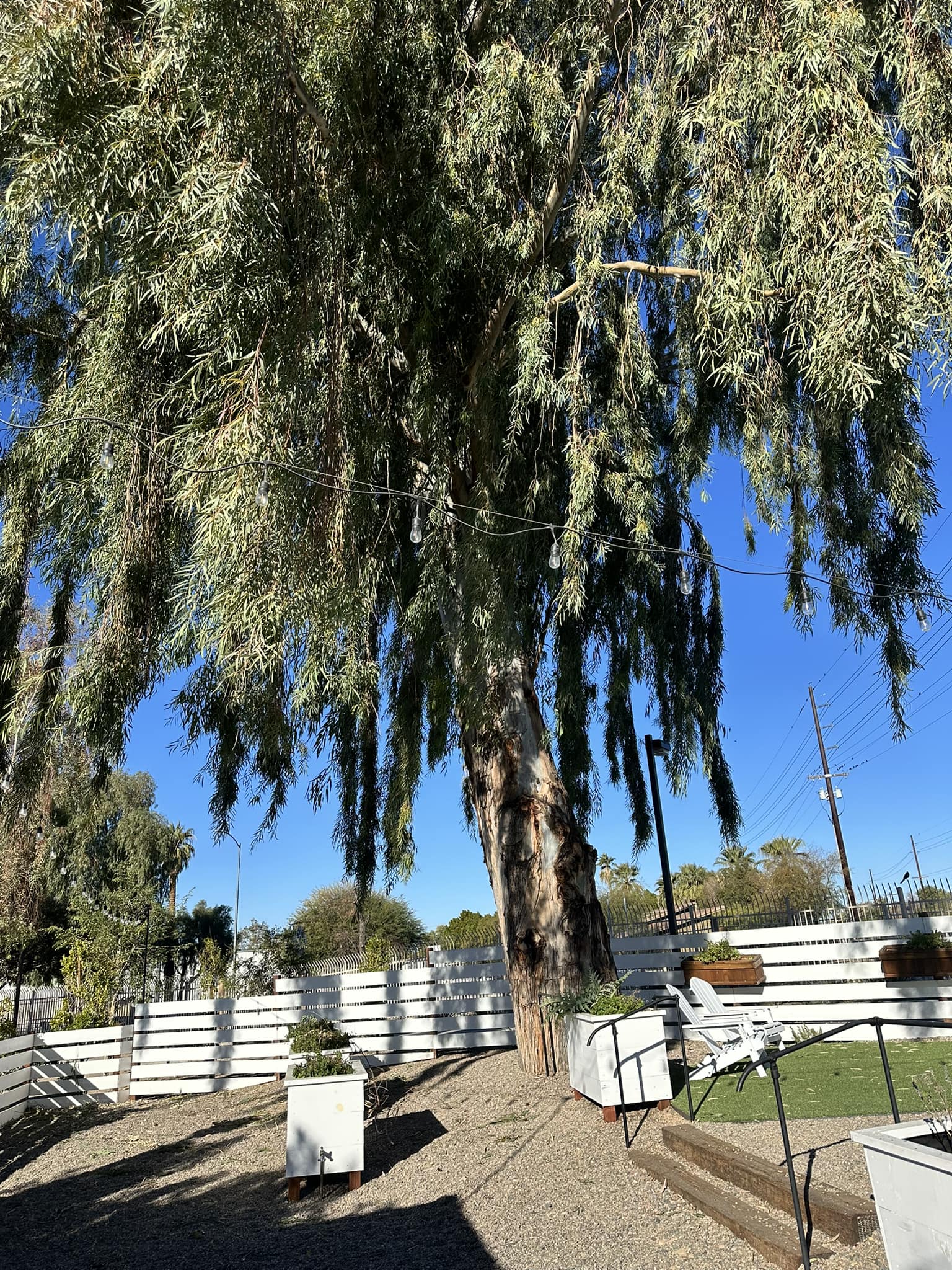 The Way Wellness Psychiatry 41704 W Smith Enke Rd Suite 100, Maricopa Arizona 85138