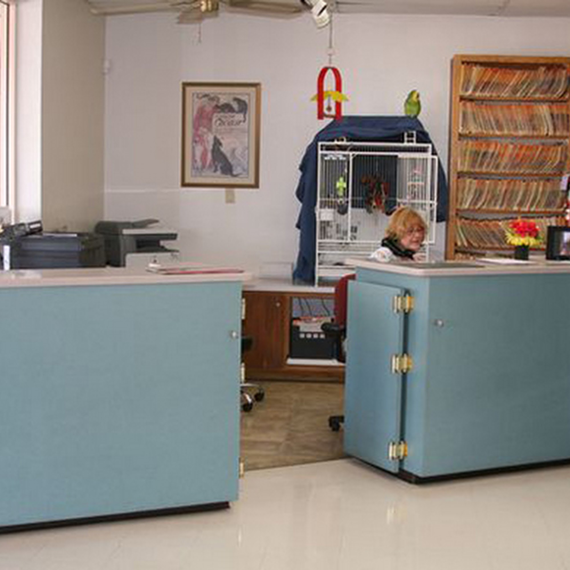 Brown Road Animal Clinic Mesa