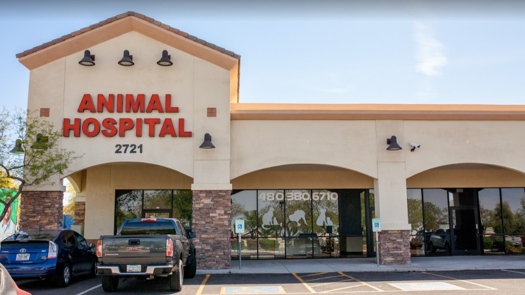 Augusta Ranch Animal Hospital Mesa