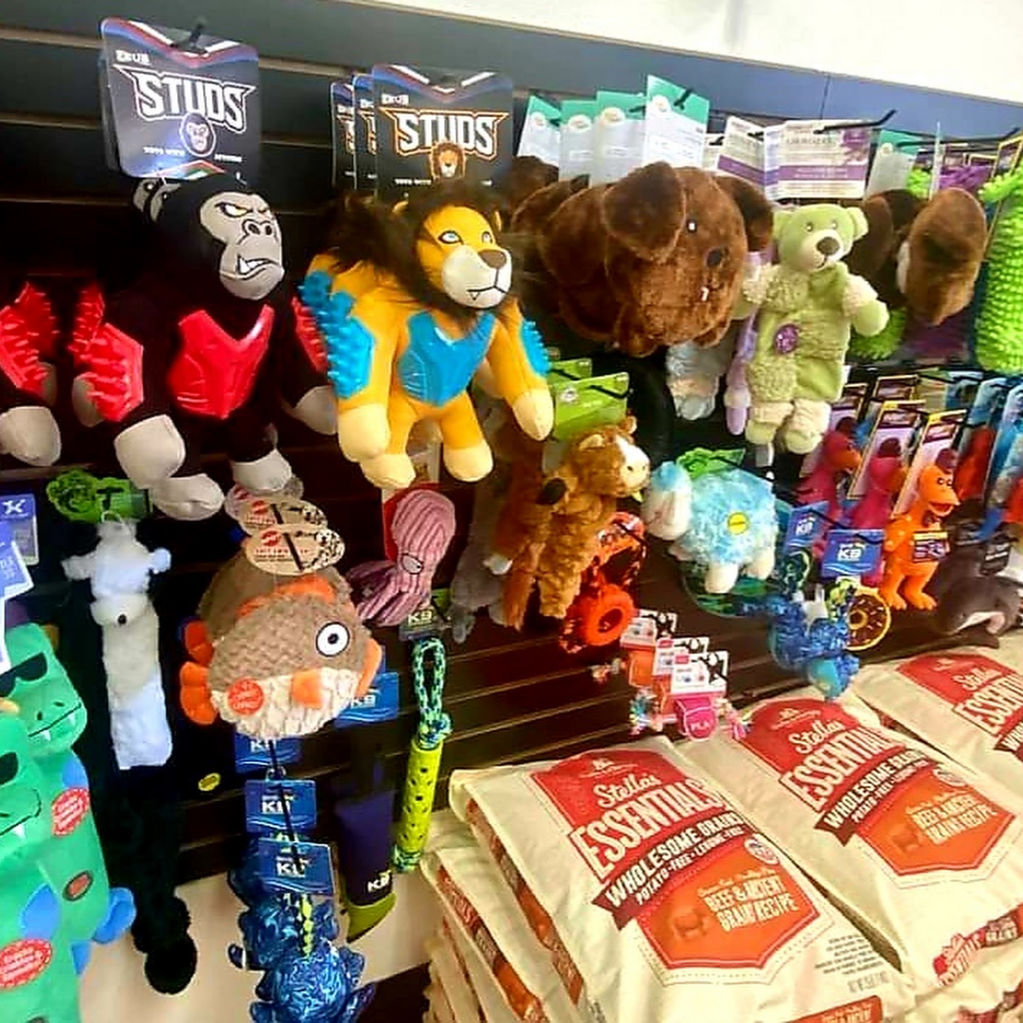 Healthy Paws Market Mesa