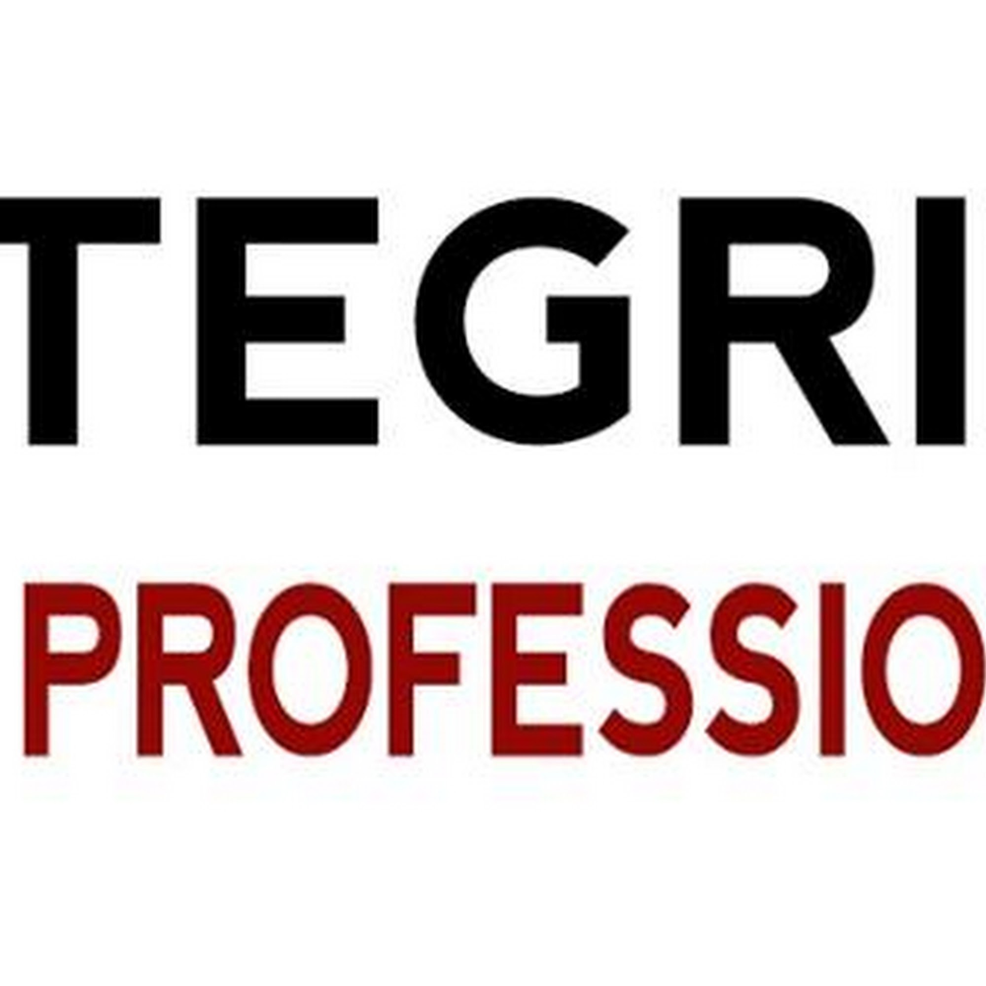 Integrity Tax Professionals