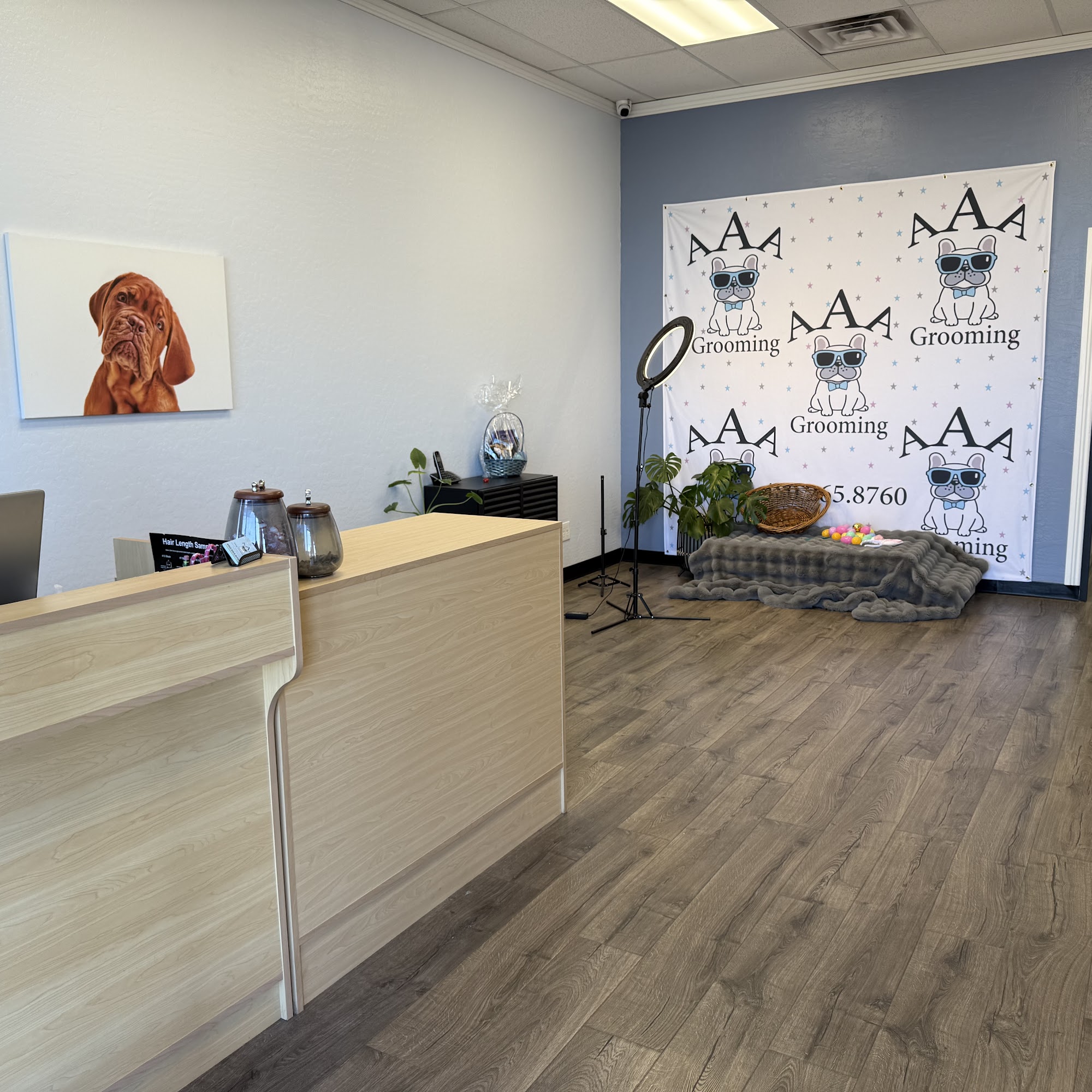 AAA Mobile Grooming Mesa