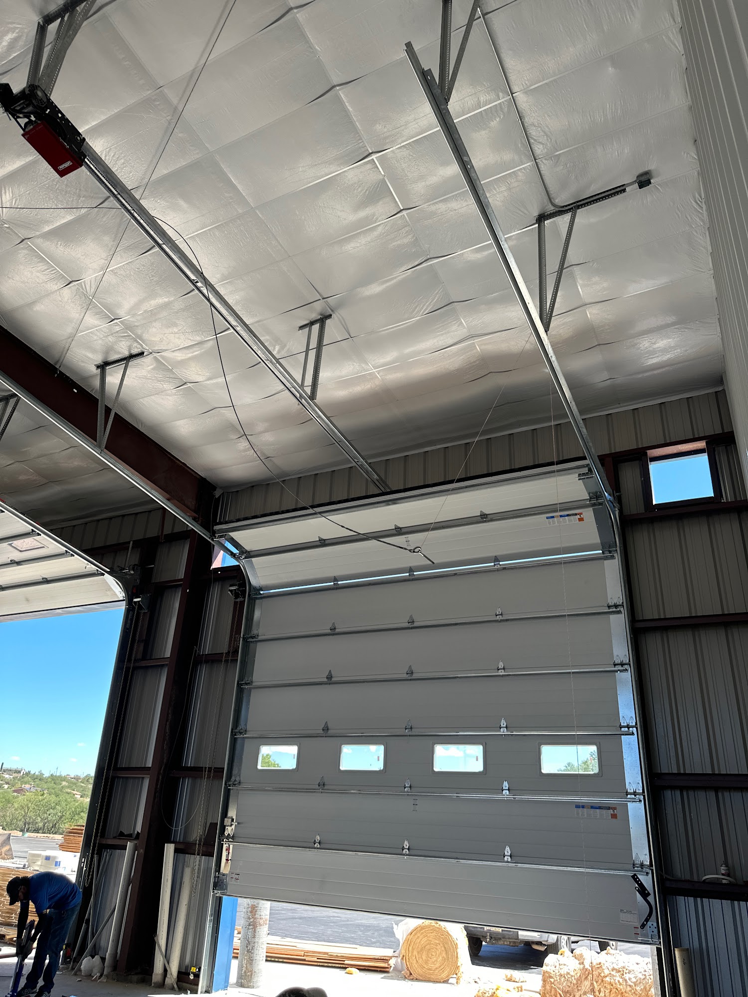 Blue Cactus Garage Door