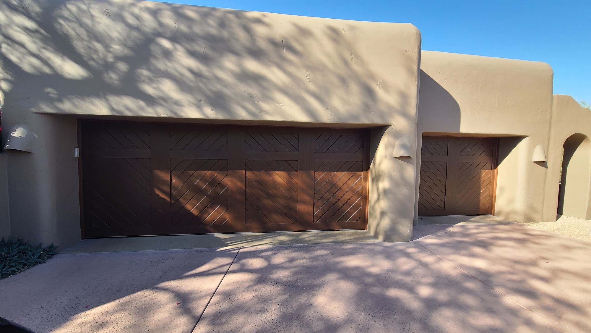 Blue Cactus Garage Door