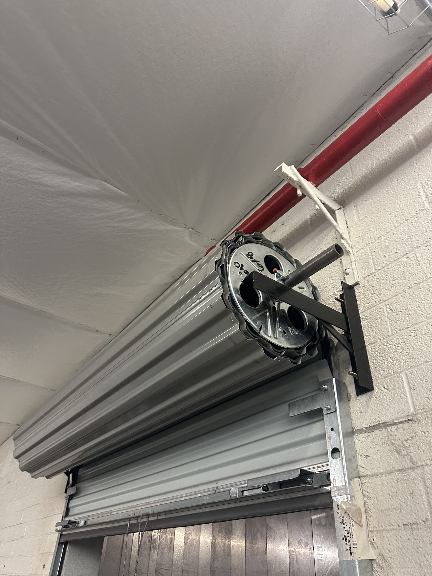 Blue Cactus Garage Door