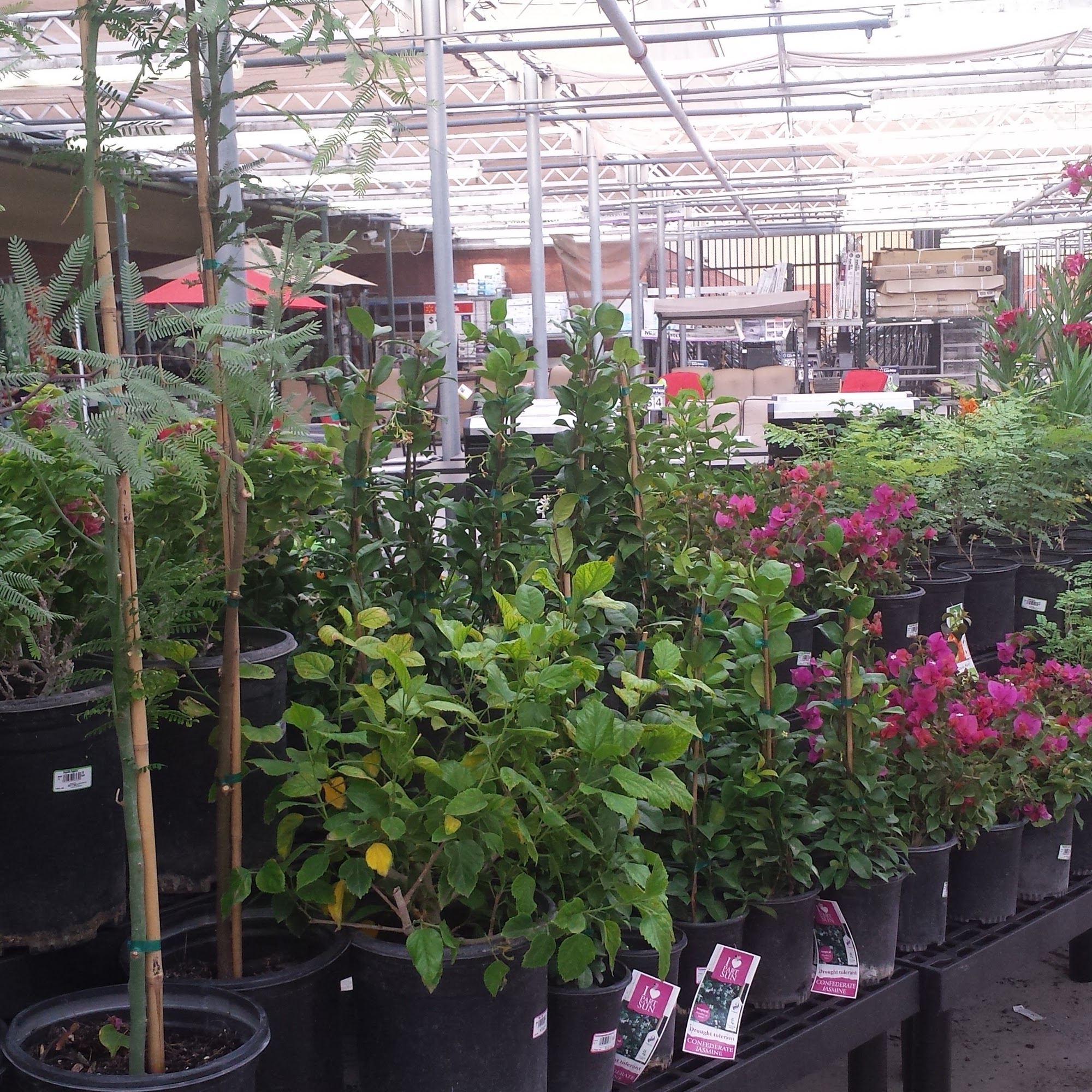 Walmart Garden Center