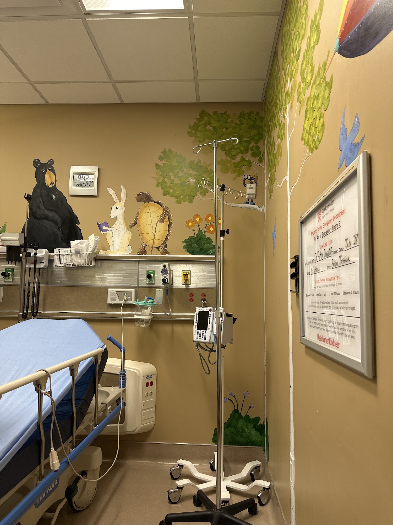 Dignity Health AZ General Hospital Emergency Room - Mesa-Baseline Mesa