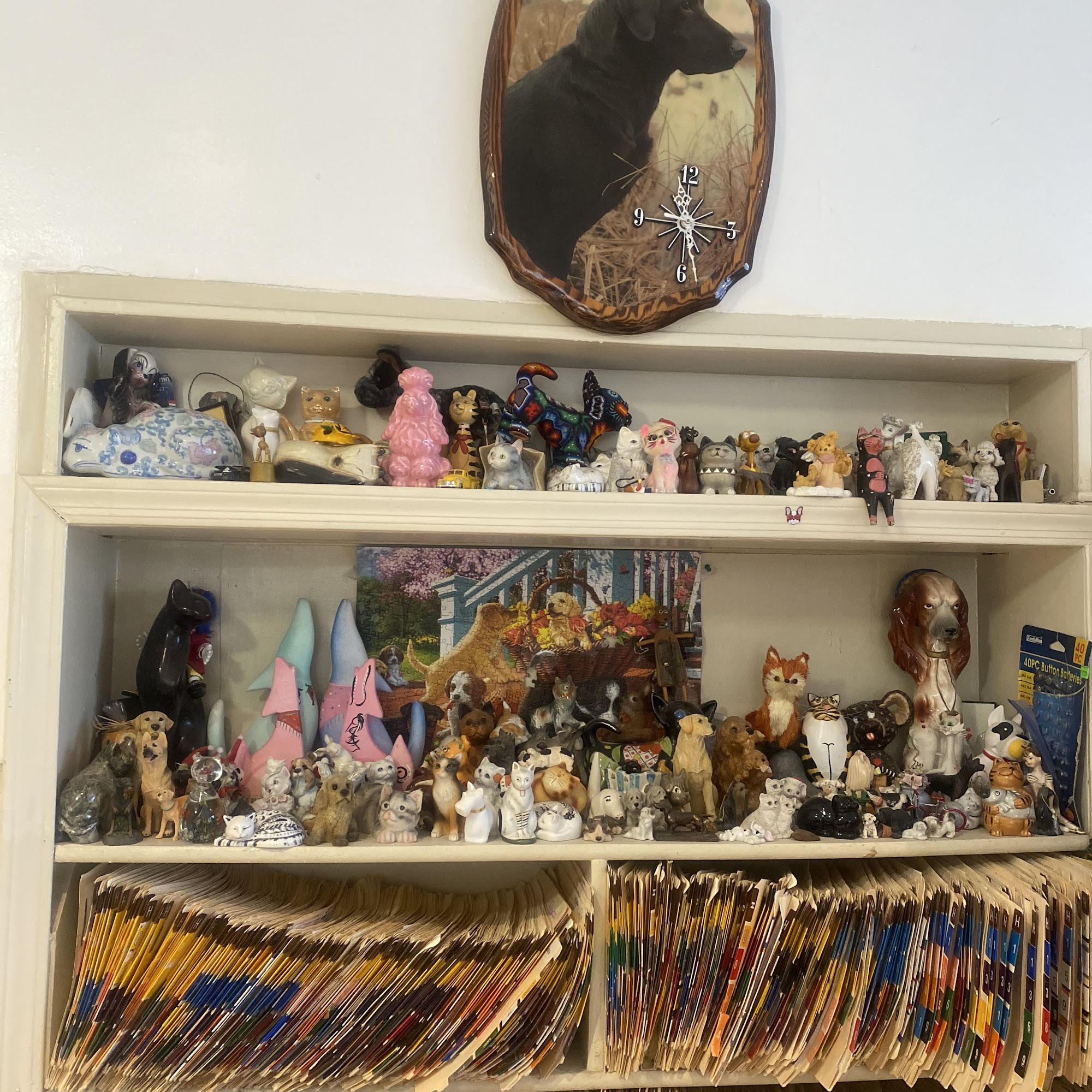 Santa Cruz Humane Society Nogales