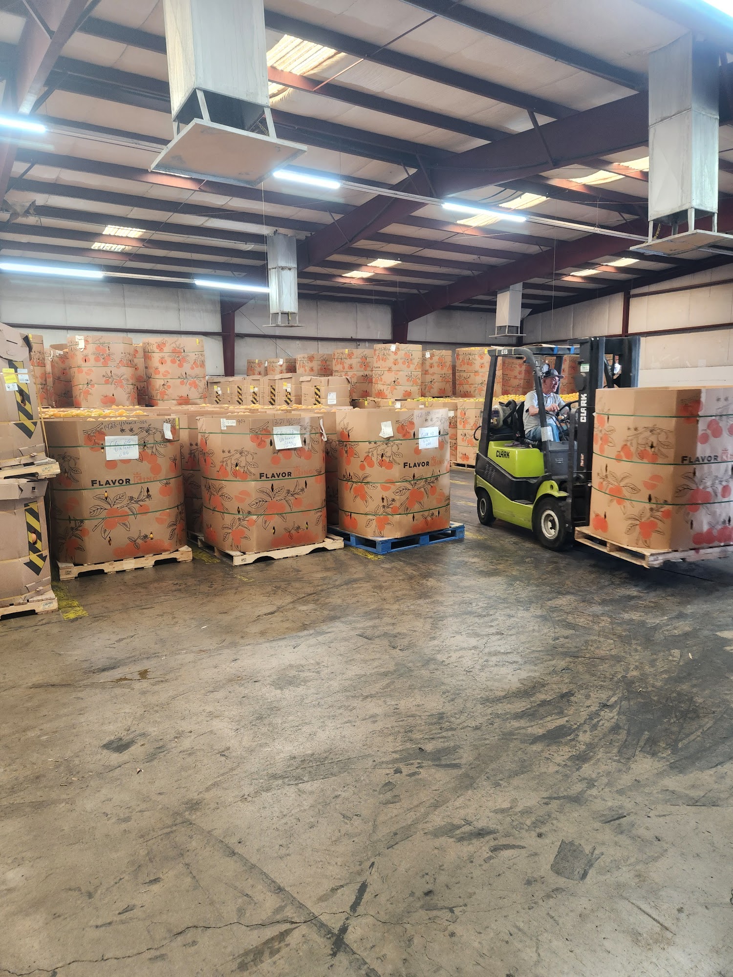 American Fresh Nogales