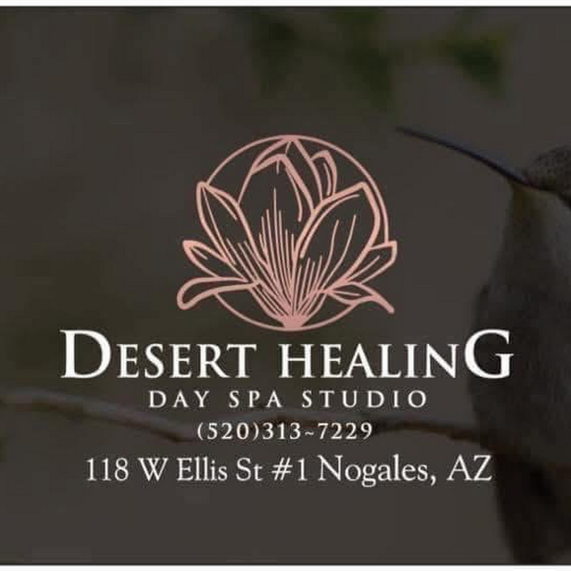 Desert Healing Day Spa Studio 118 W Ellis St Suite 1, Nogales Arizona 85621