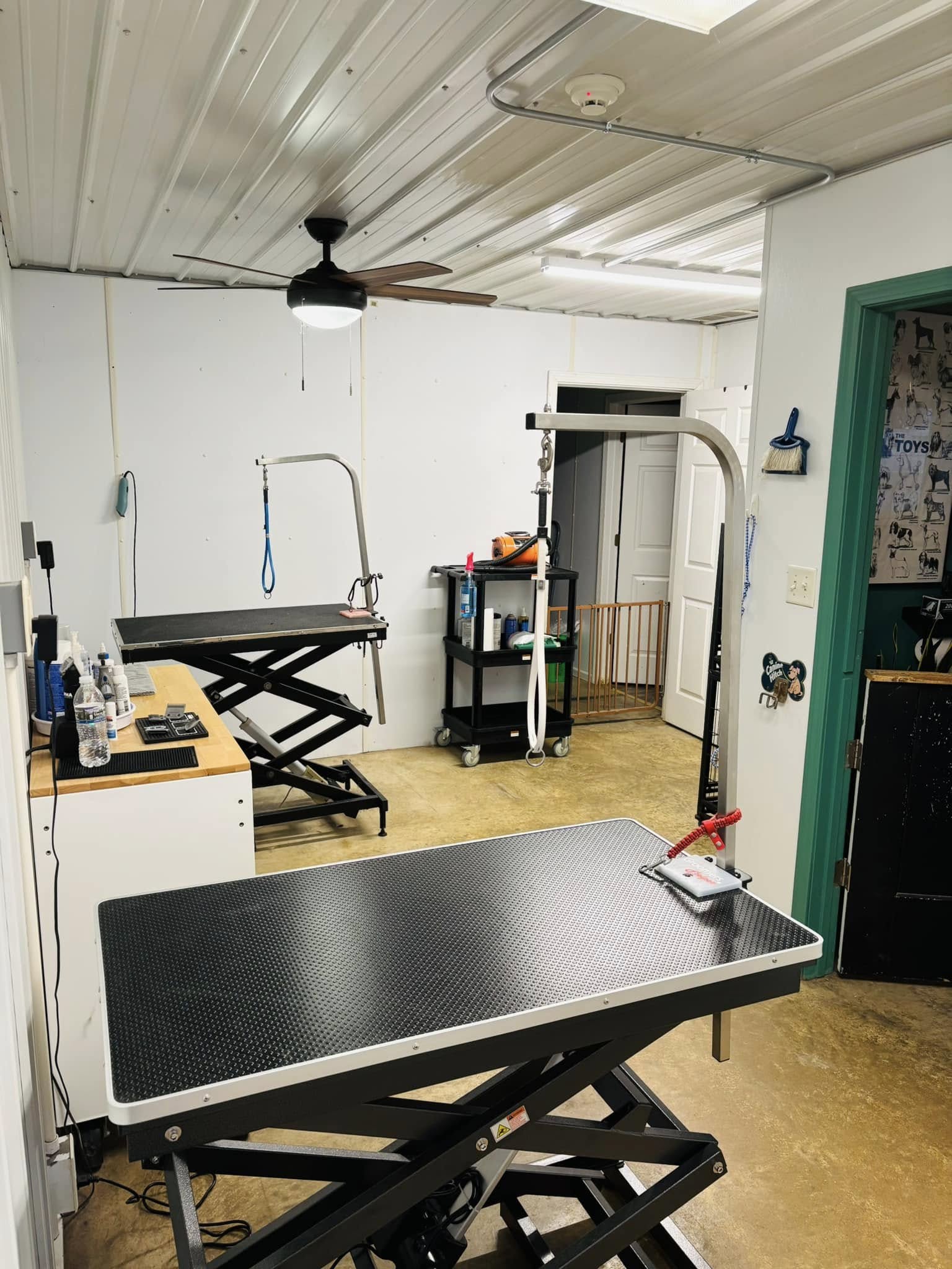 Page Pampered Pets Page