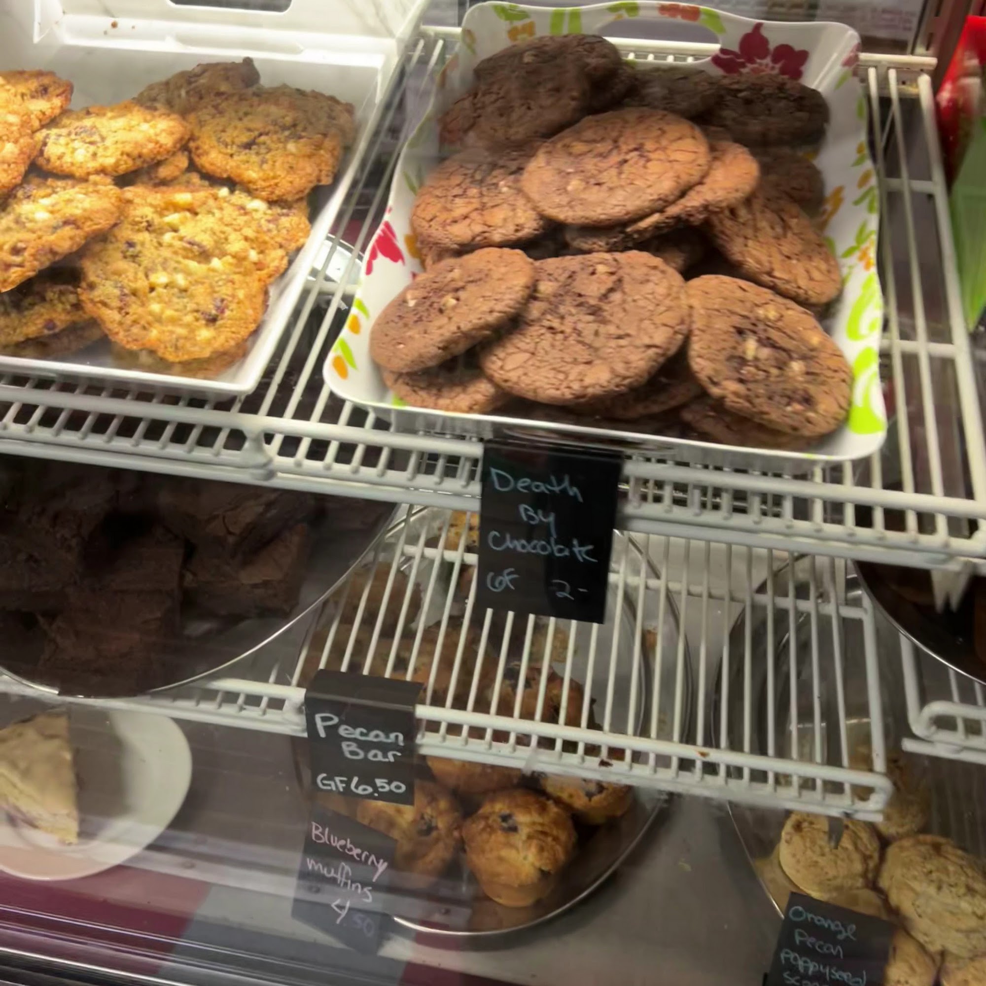 Gathering Grounds Patagonia