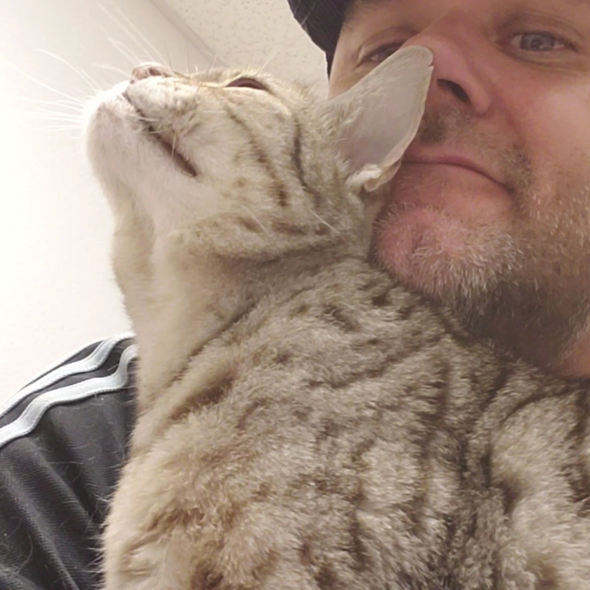 Payson Pet Care Payson