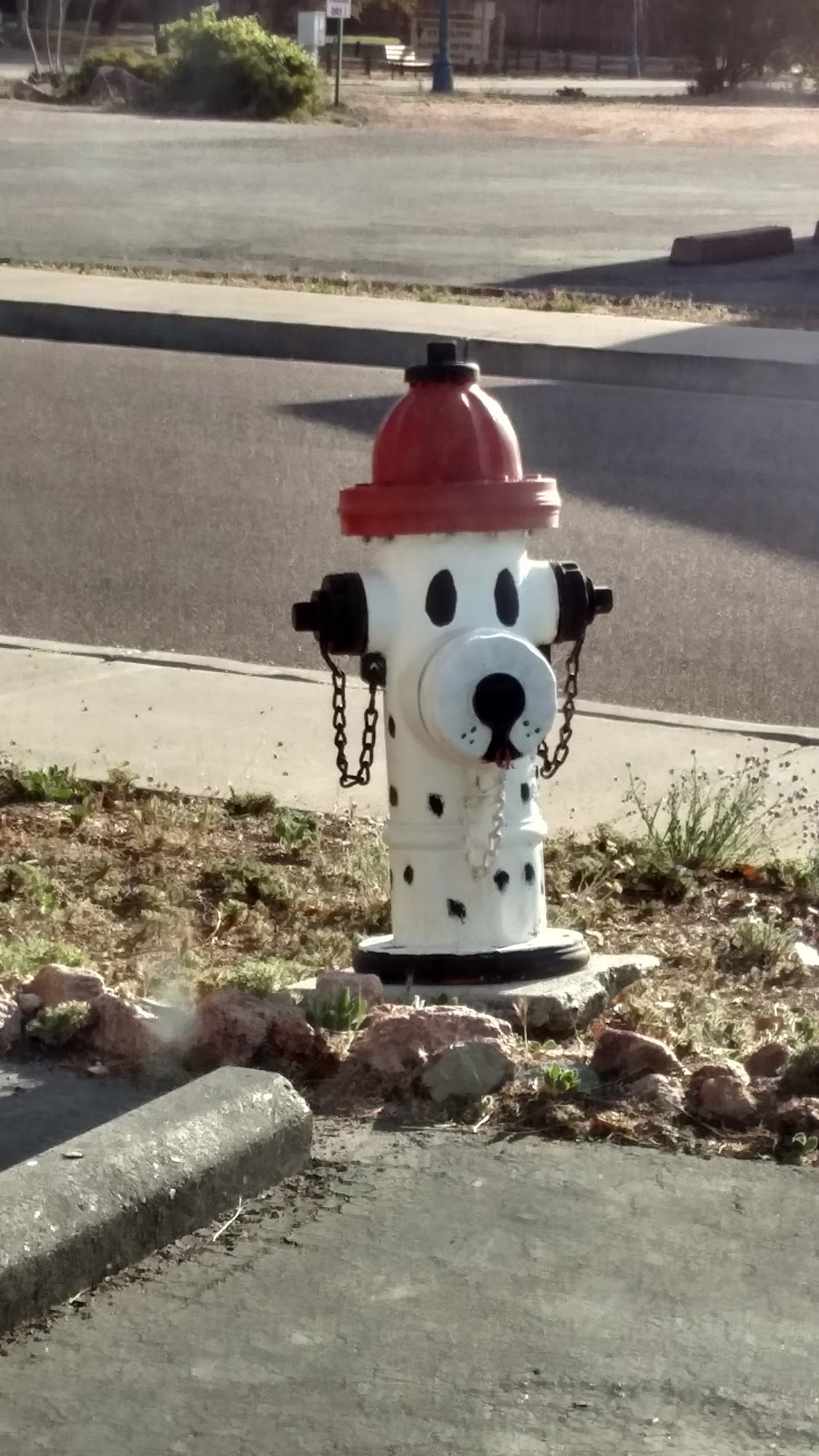 Pine Country Animal Clinic Payson