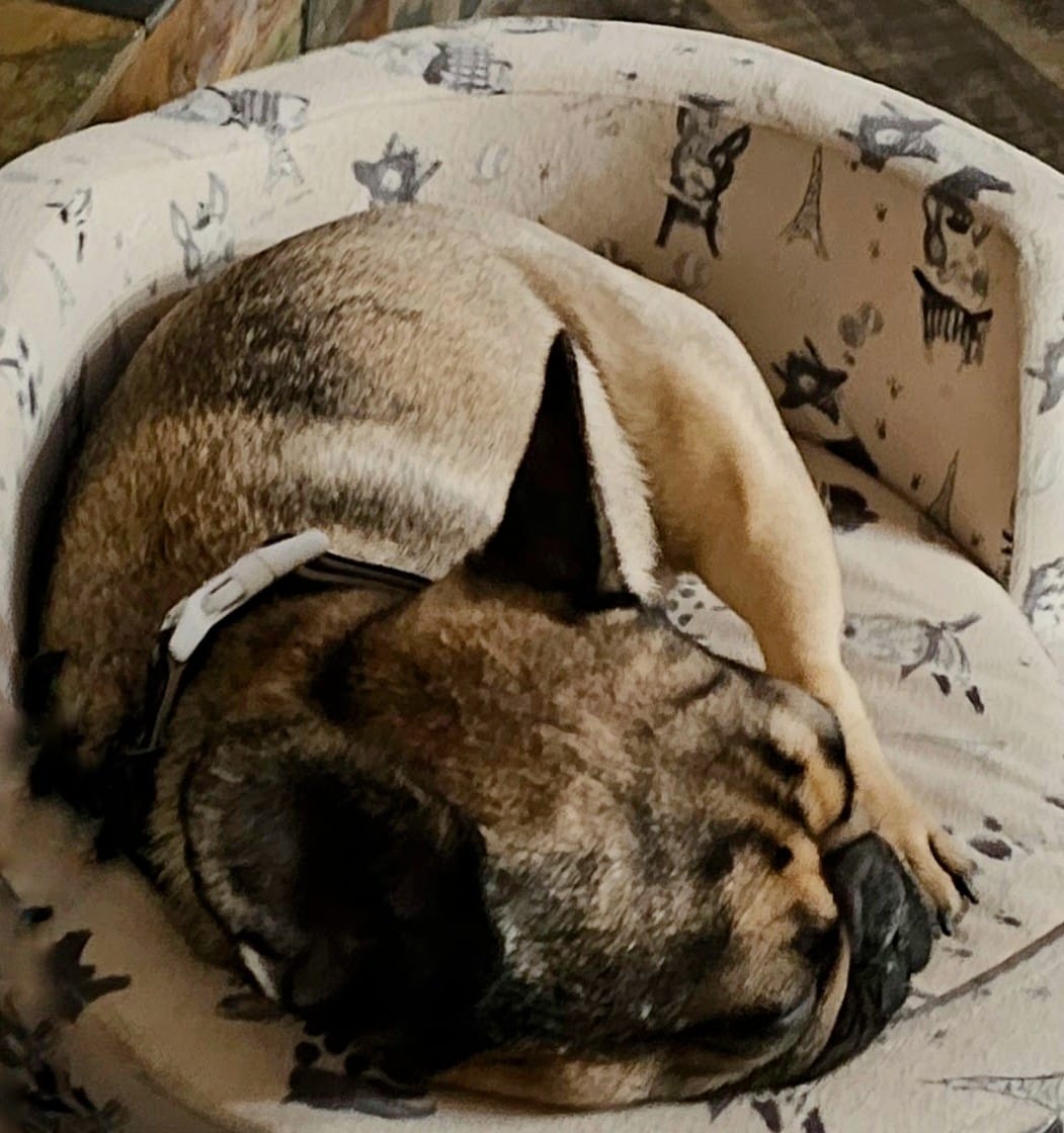 Copper State Tax and Accounting