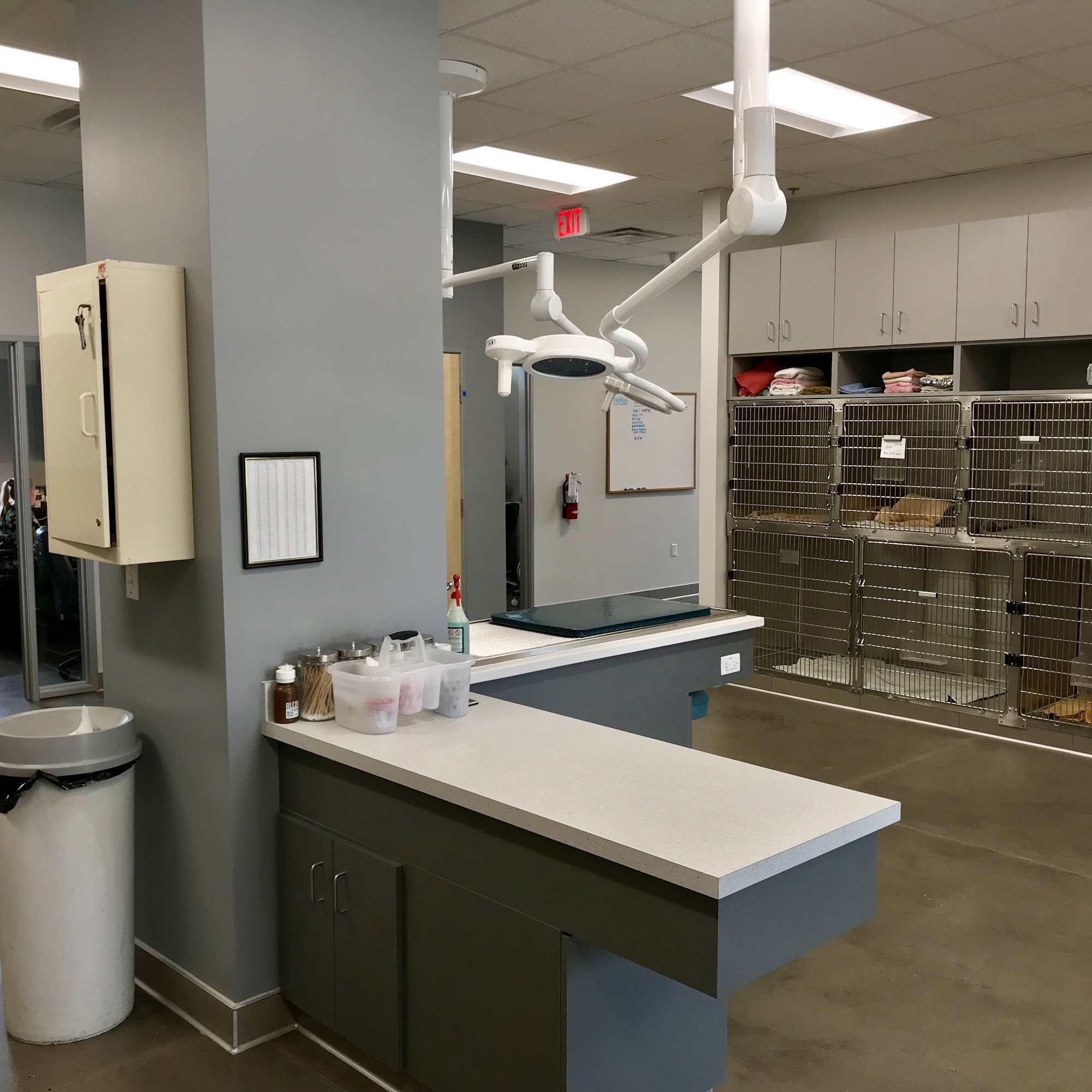 Peoria Animal Hospital Peoria