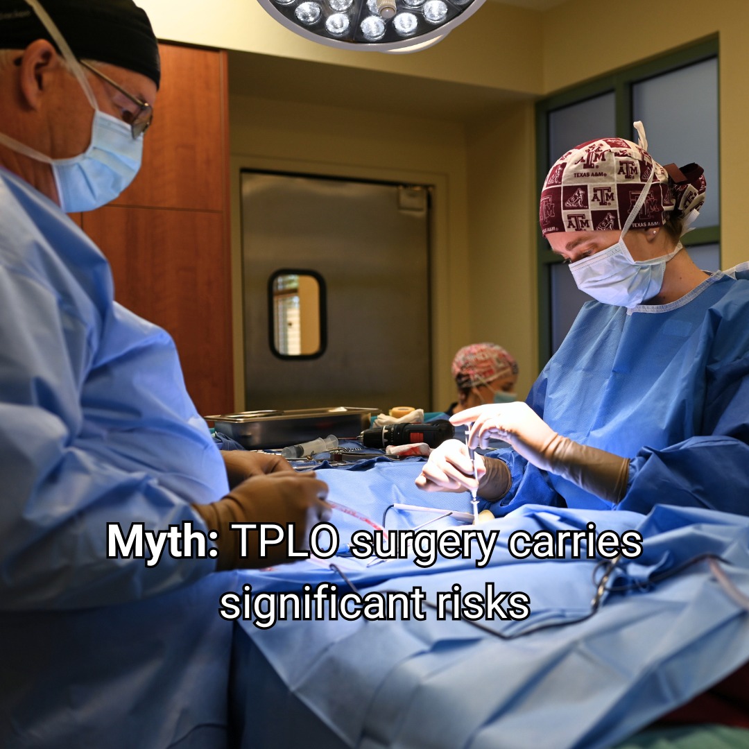 Southwest Veterinary Surgical Service, PC Peoria