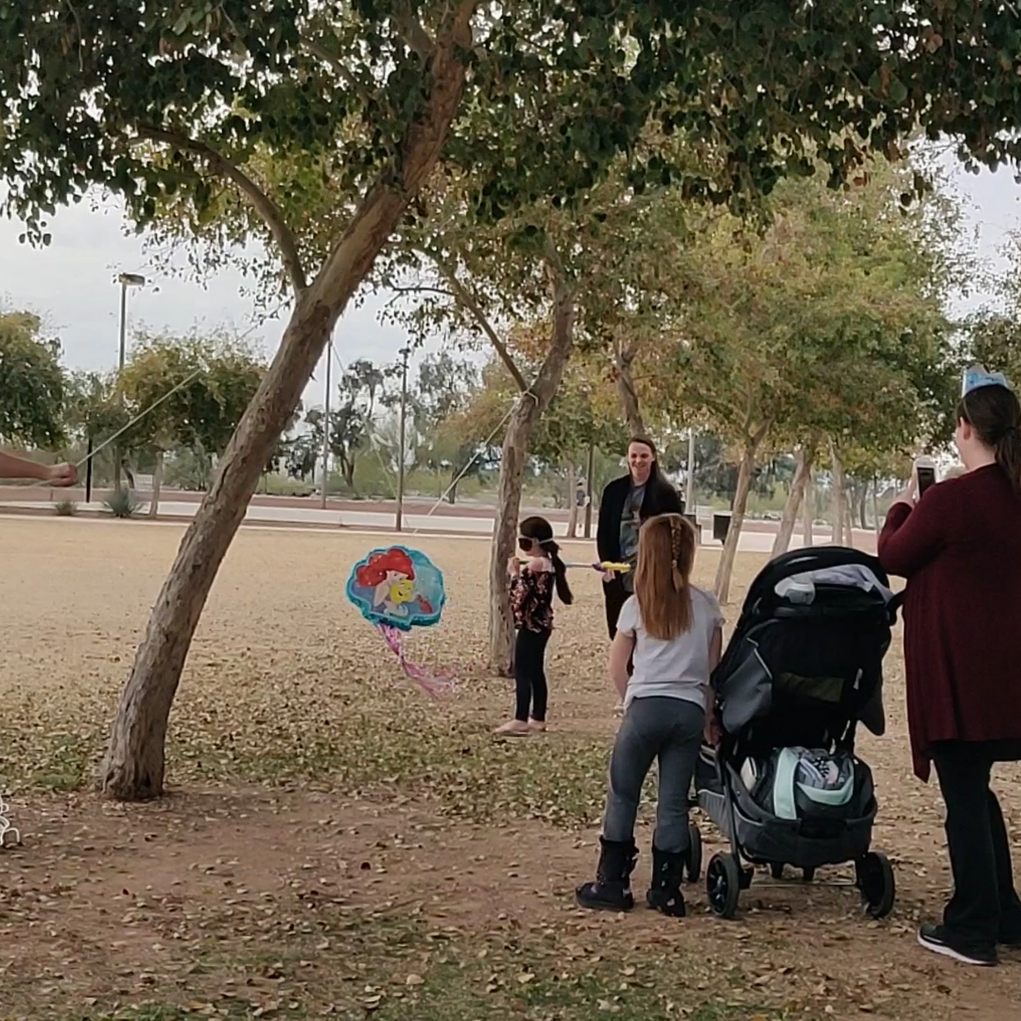 Scotland Yard Dog Park Peoria