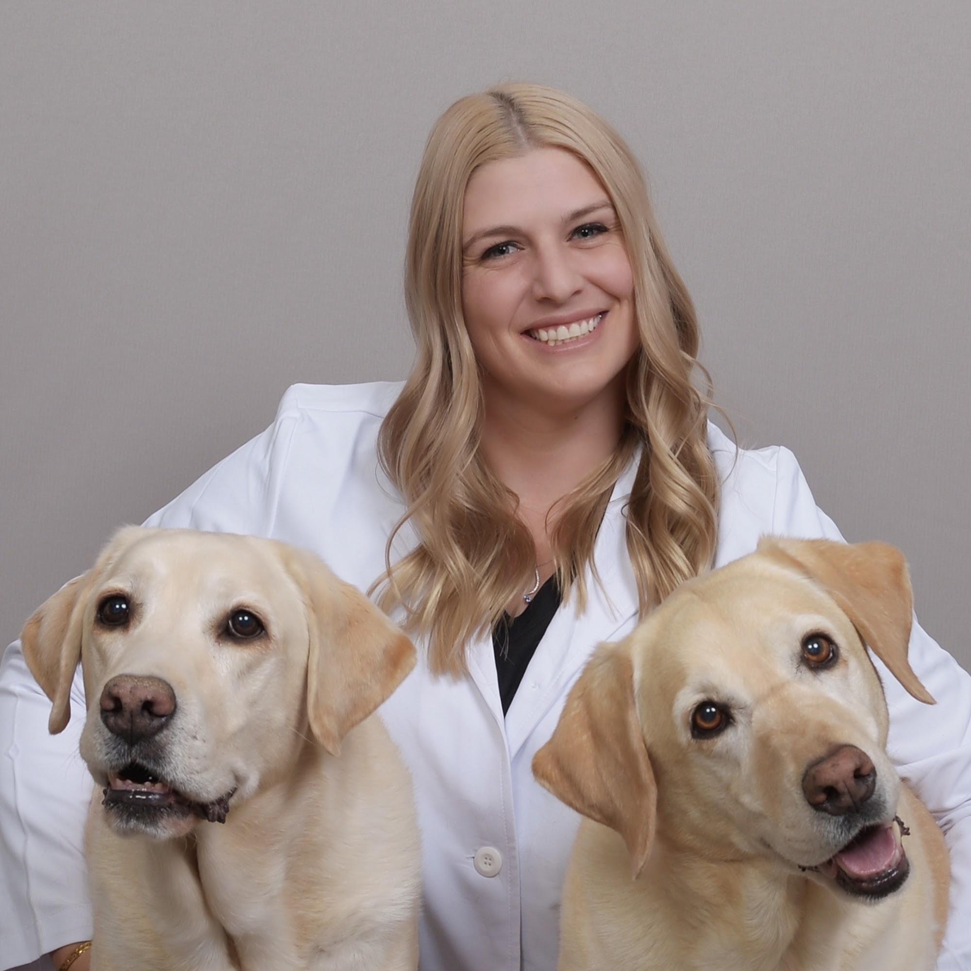 CityVet | Lone Mountain Veterinary & Urgent Care Peoria