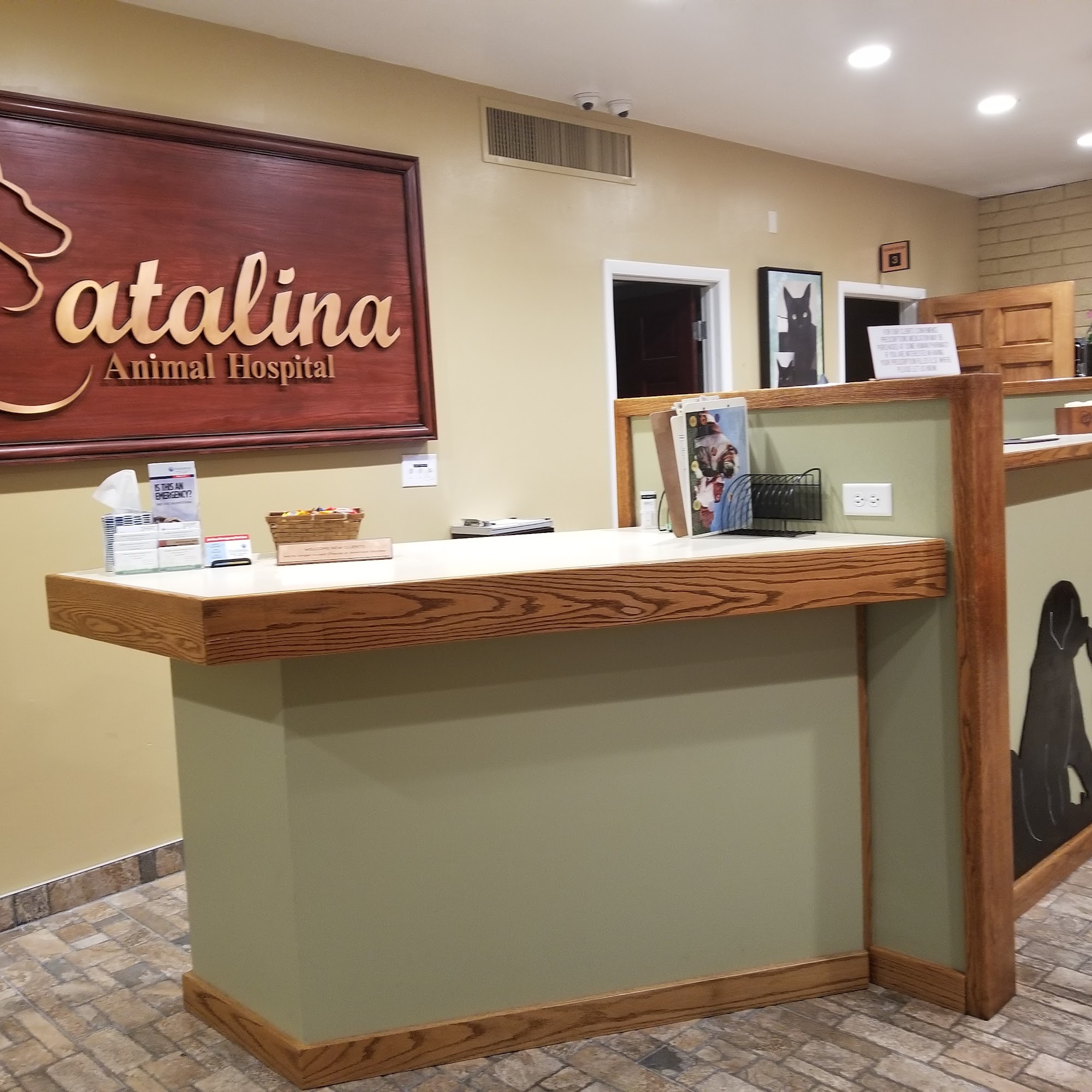 Catalina Animal Hospital Phoenix