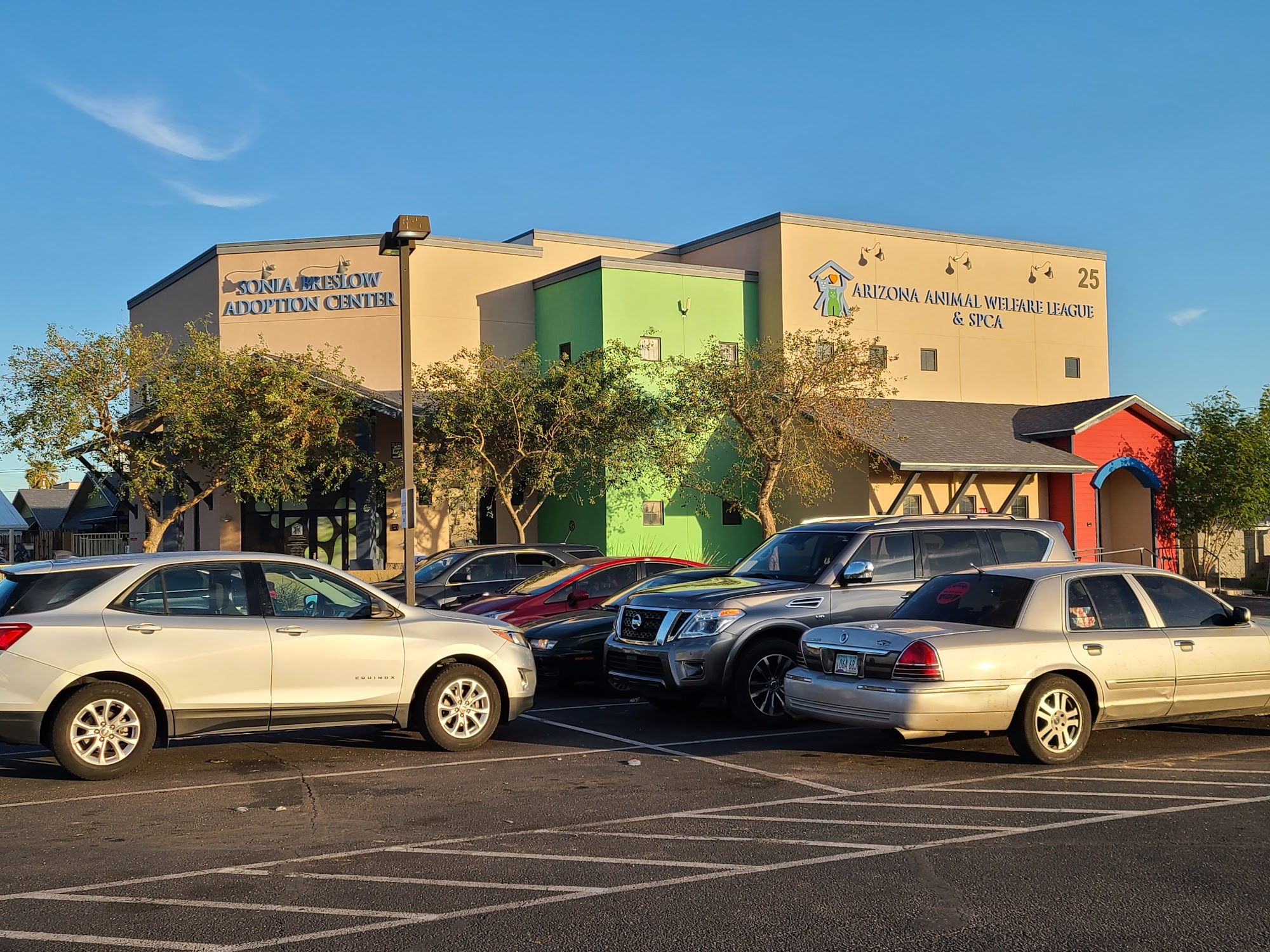 Arizona Animal Welfare League Phoenix