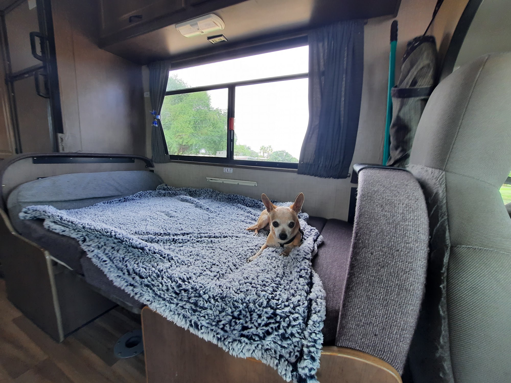 Home Fur Good Phoenix