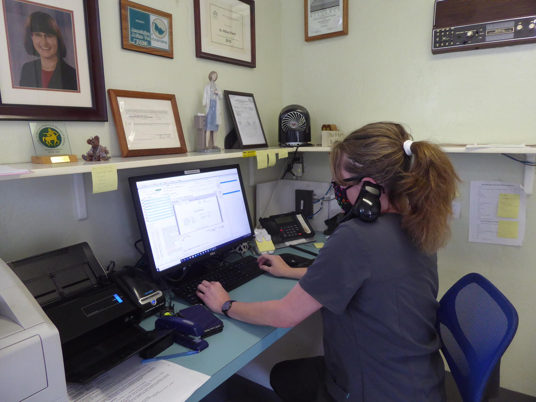 North Central Animal Hospital Phoenix