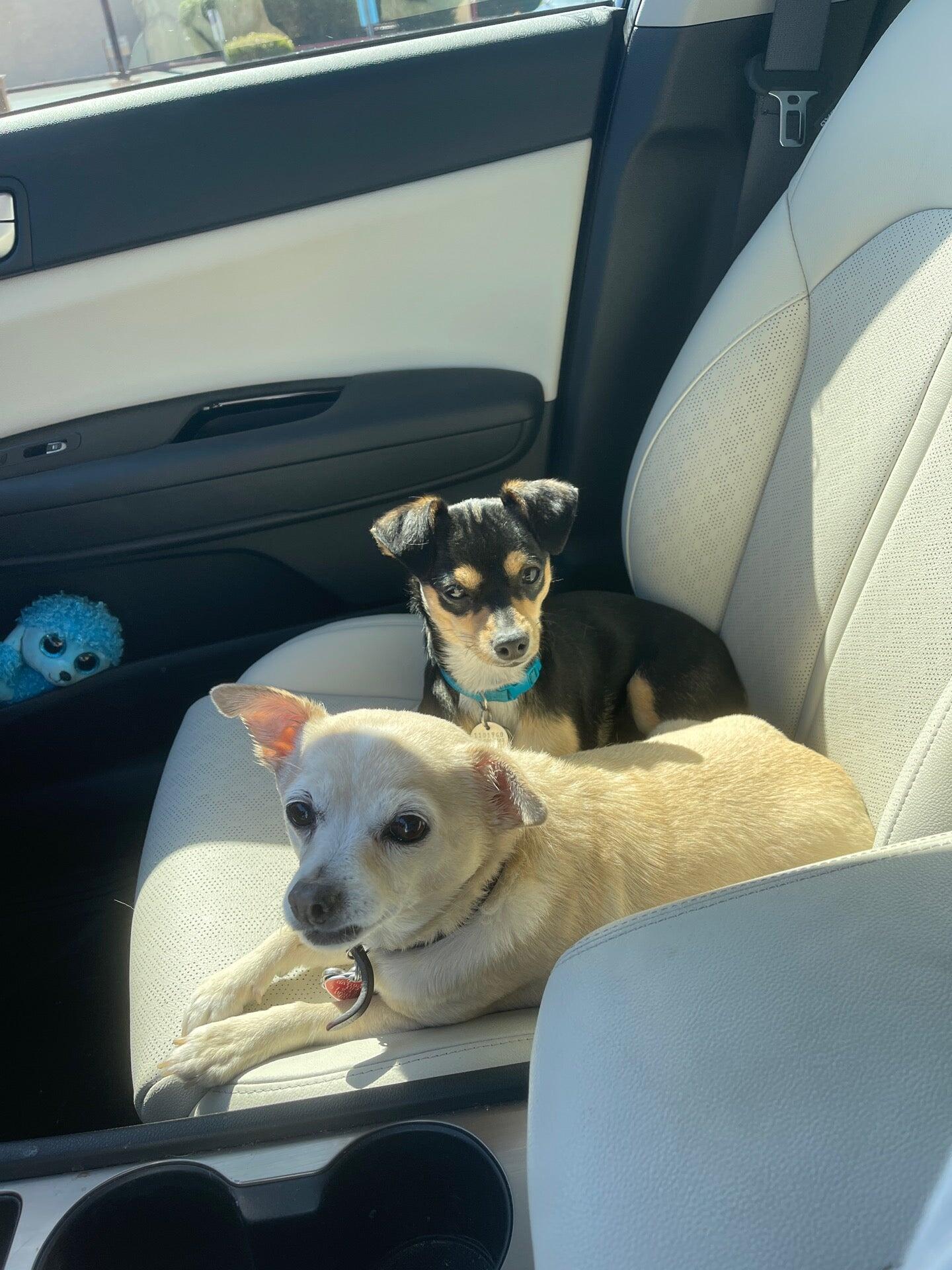 Photo credit: nextdoor