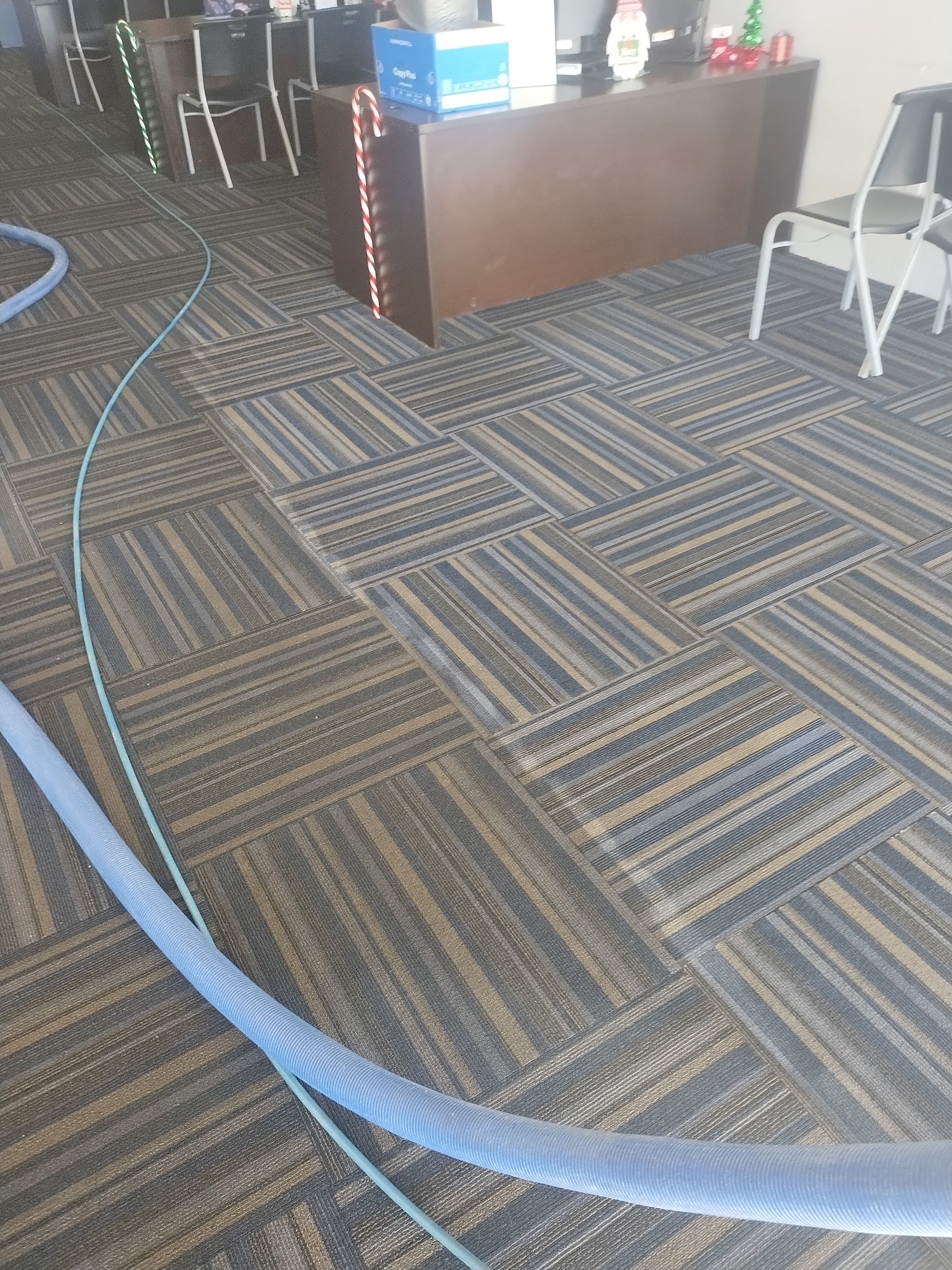 Done Your Way Carpet and Tile Cleaning