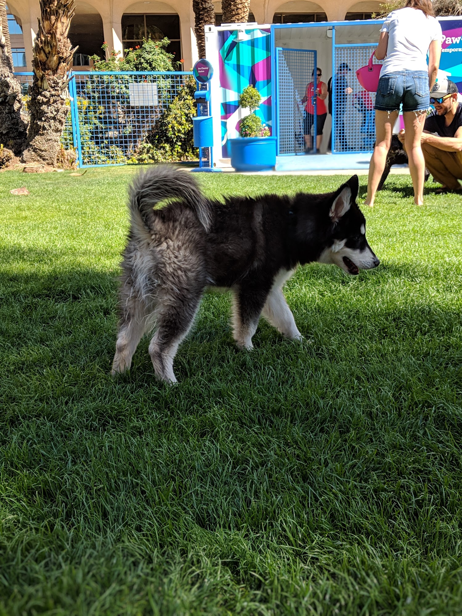 Thelda Williams Paw-Pup Park Phoenix