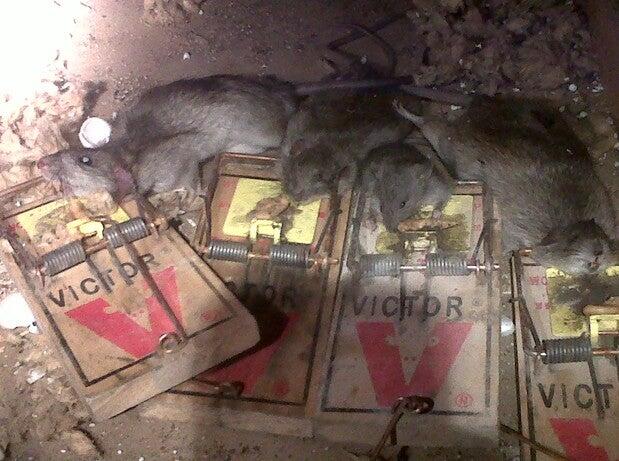 Photo credit: nextdoor