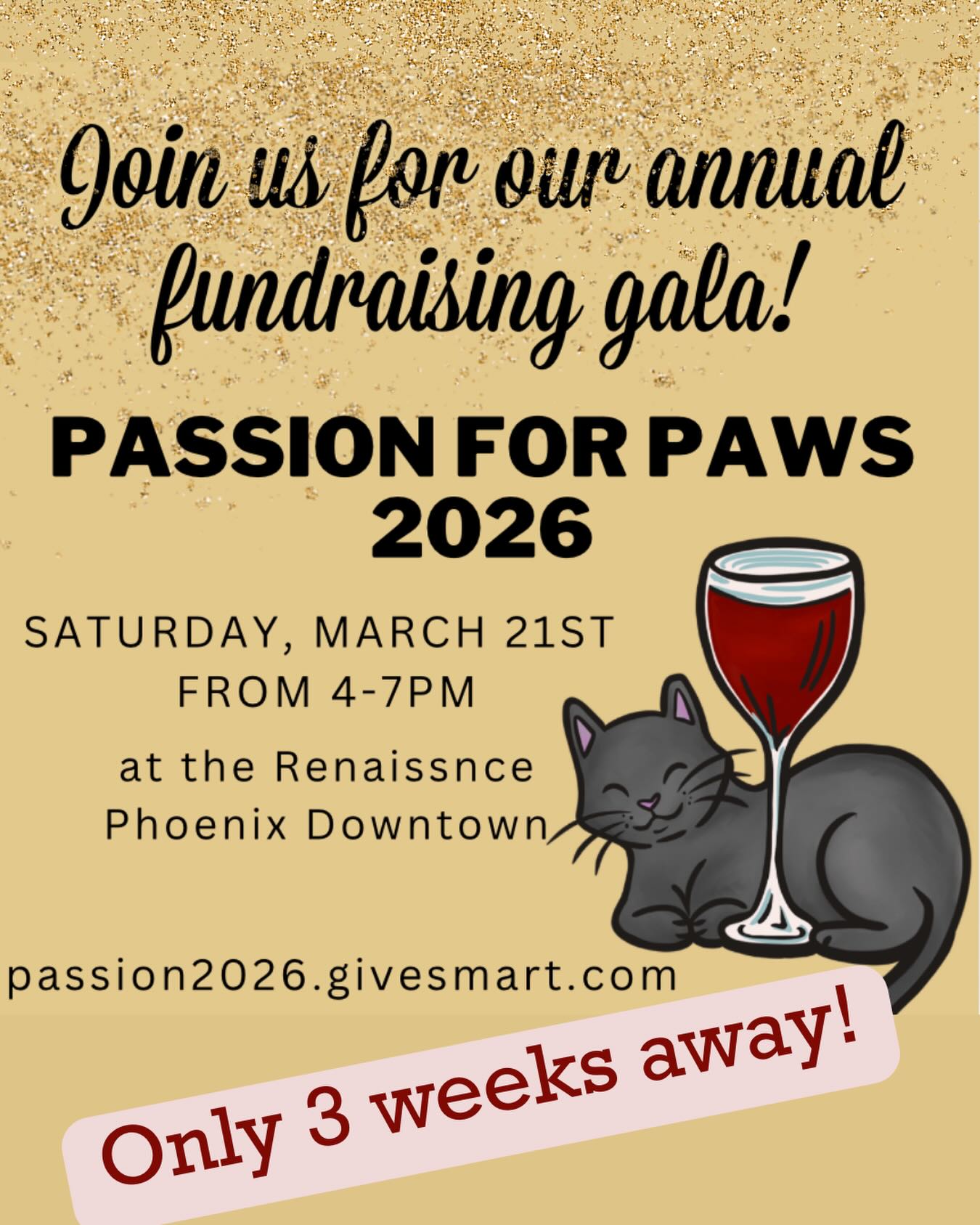 PHX Cat Cafe Phoenix