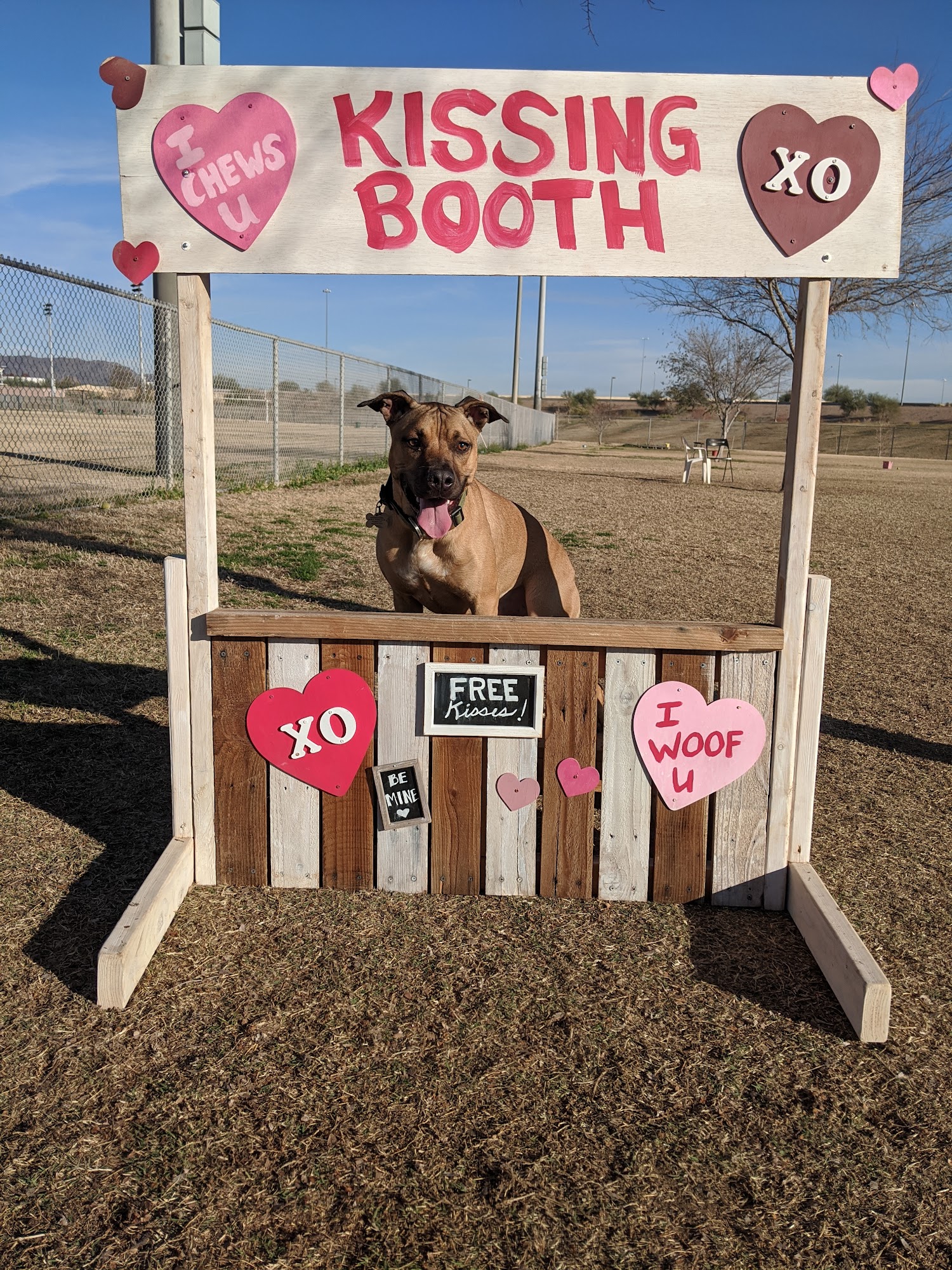 RJ Dog Park at Pecos Park Phoenix