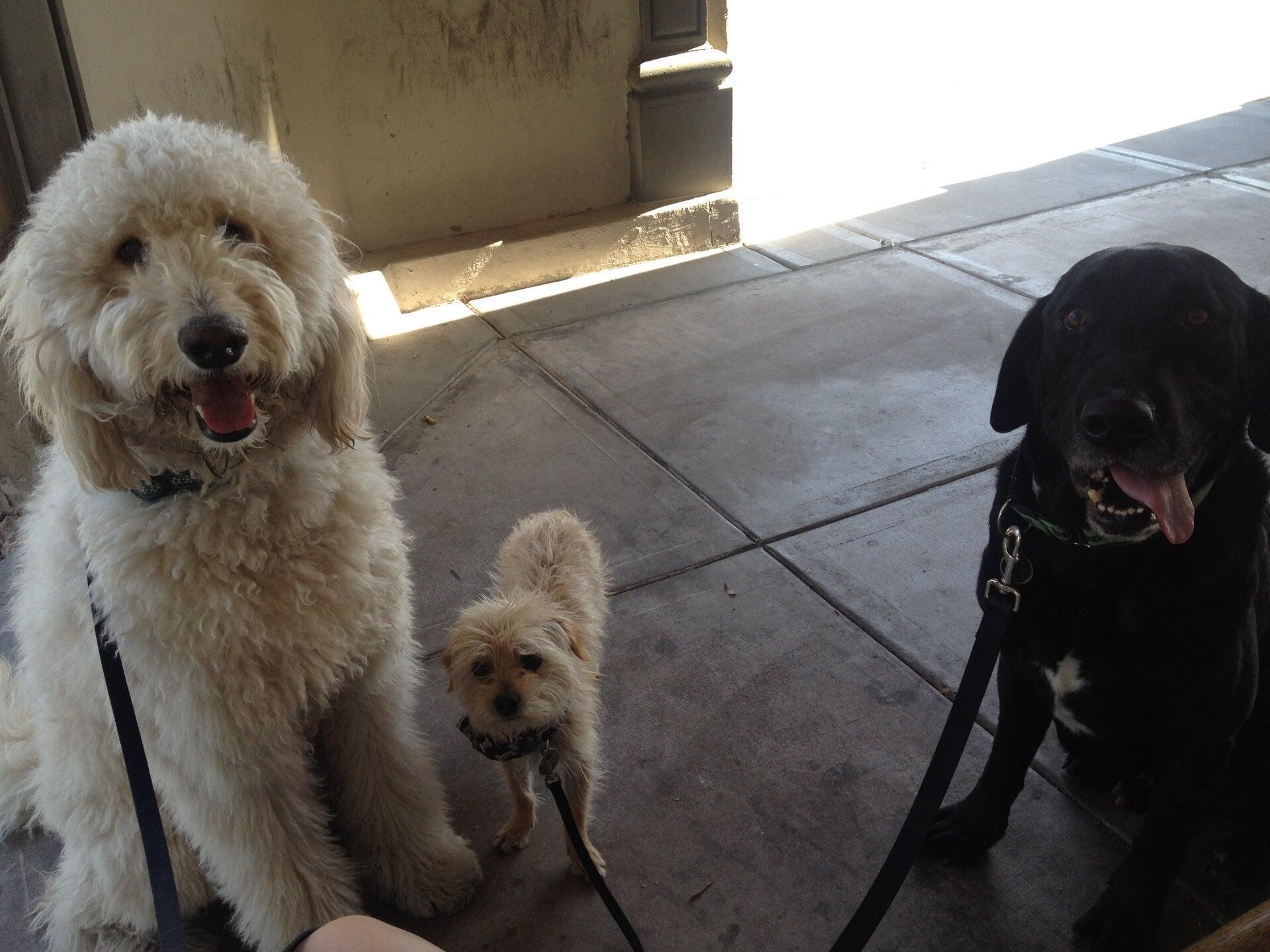 Photo credit: nextdoor