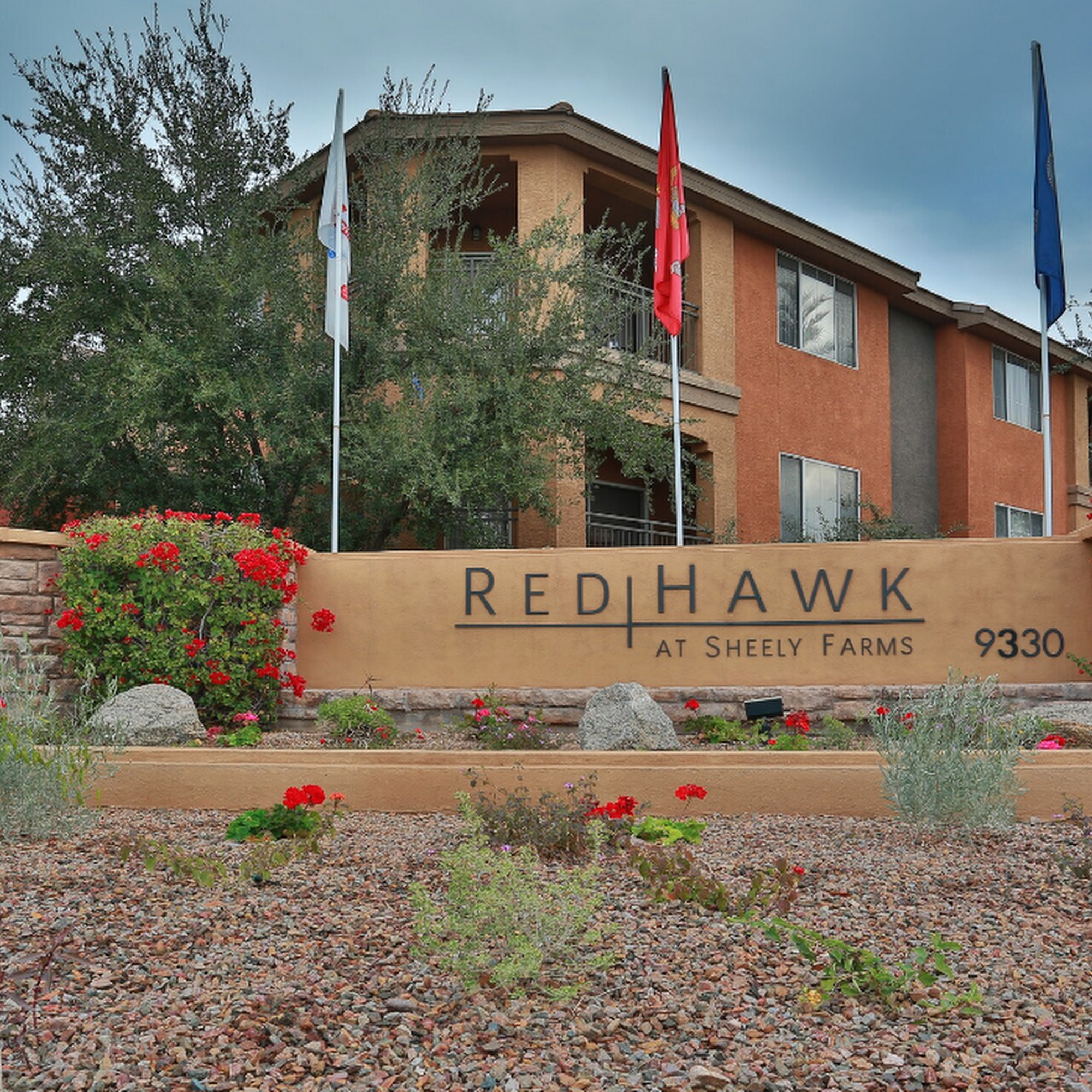 Red Hawk At Sheely Farms