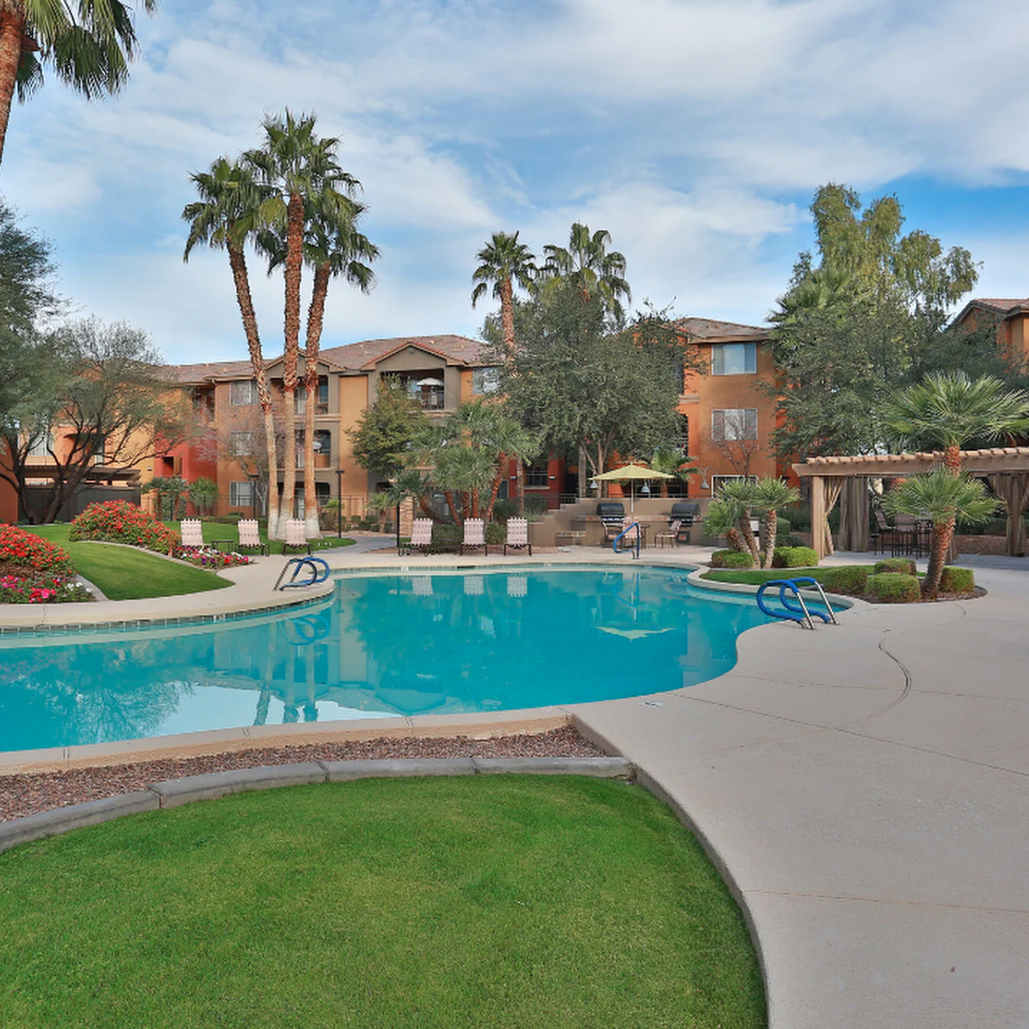 Red Hawk At Sheely Farms