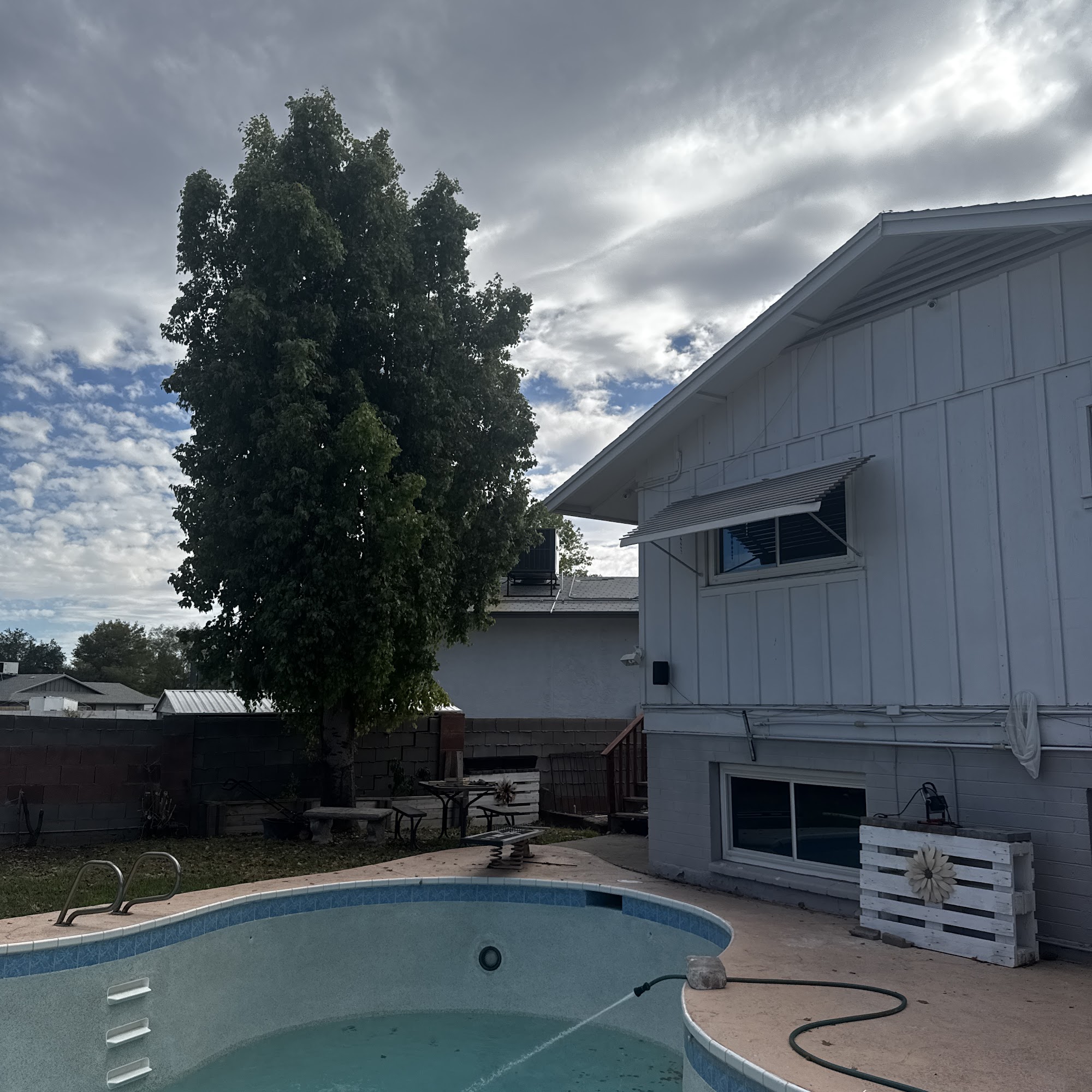 Russ Chandler's Tree Service