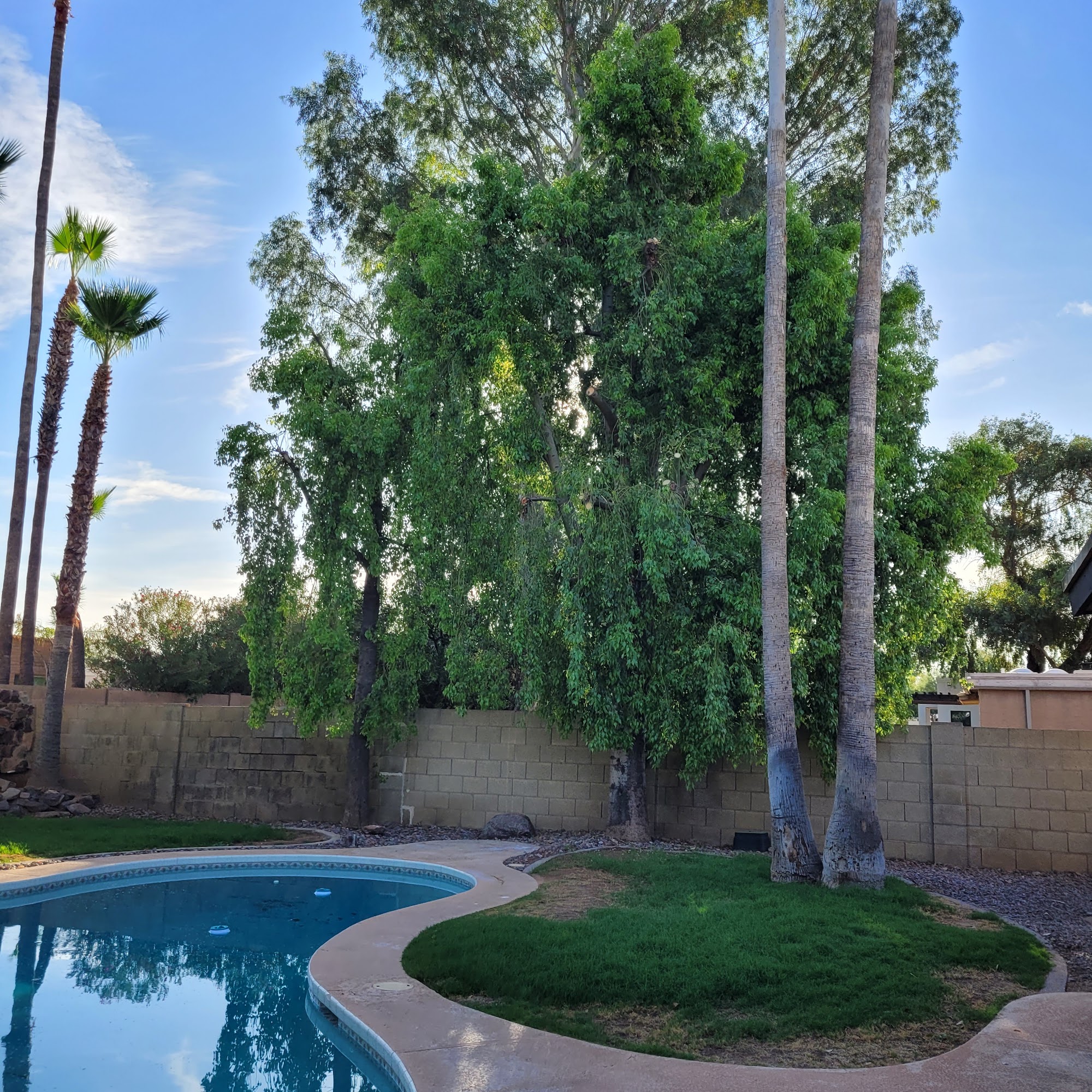 Ersland Touch Landscape