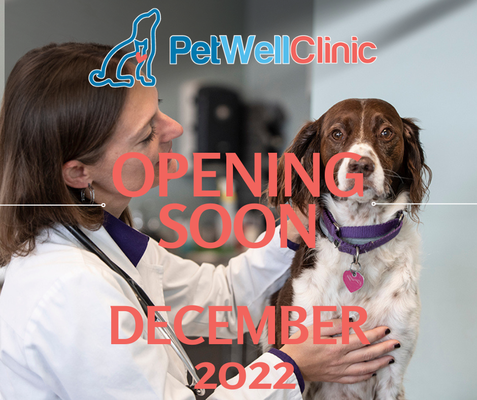 PetWellClinic - Ahwatukee Phoenix