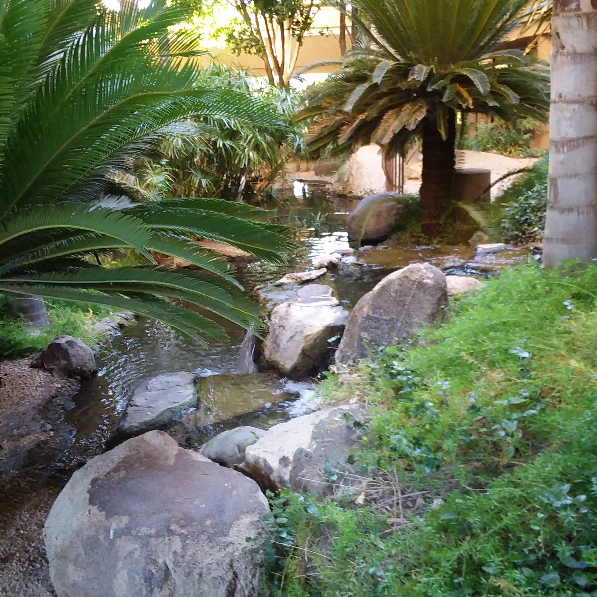 AZ Behavioral Health Specialists, LLC